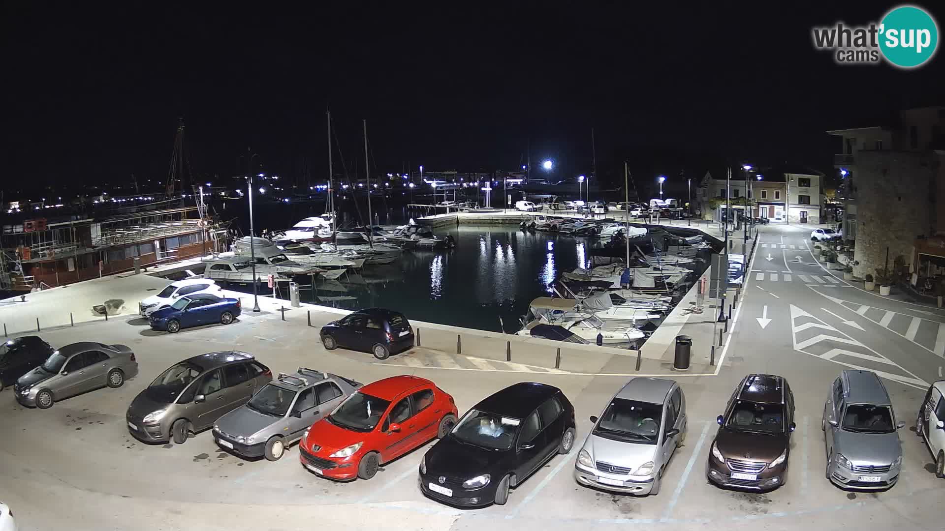 Novigrad | Porporela marina