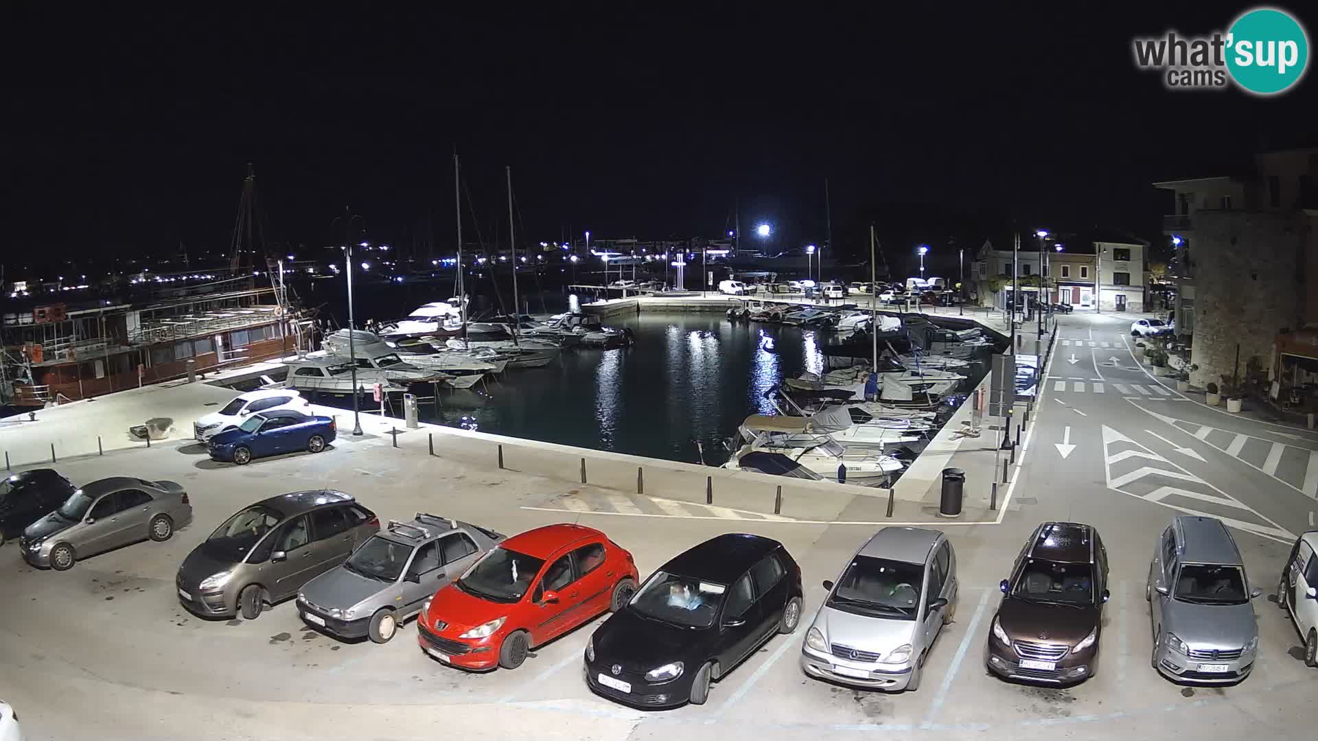 Novigrad | Porporela marina