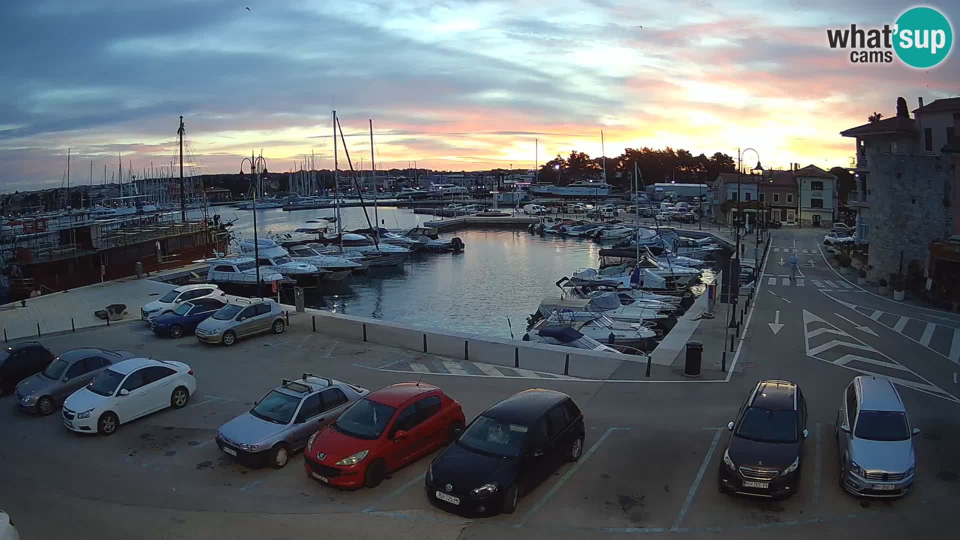 Novigrad | Porporela marina