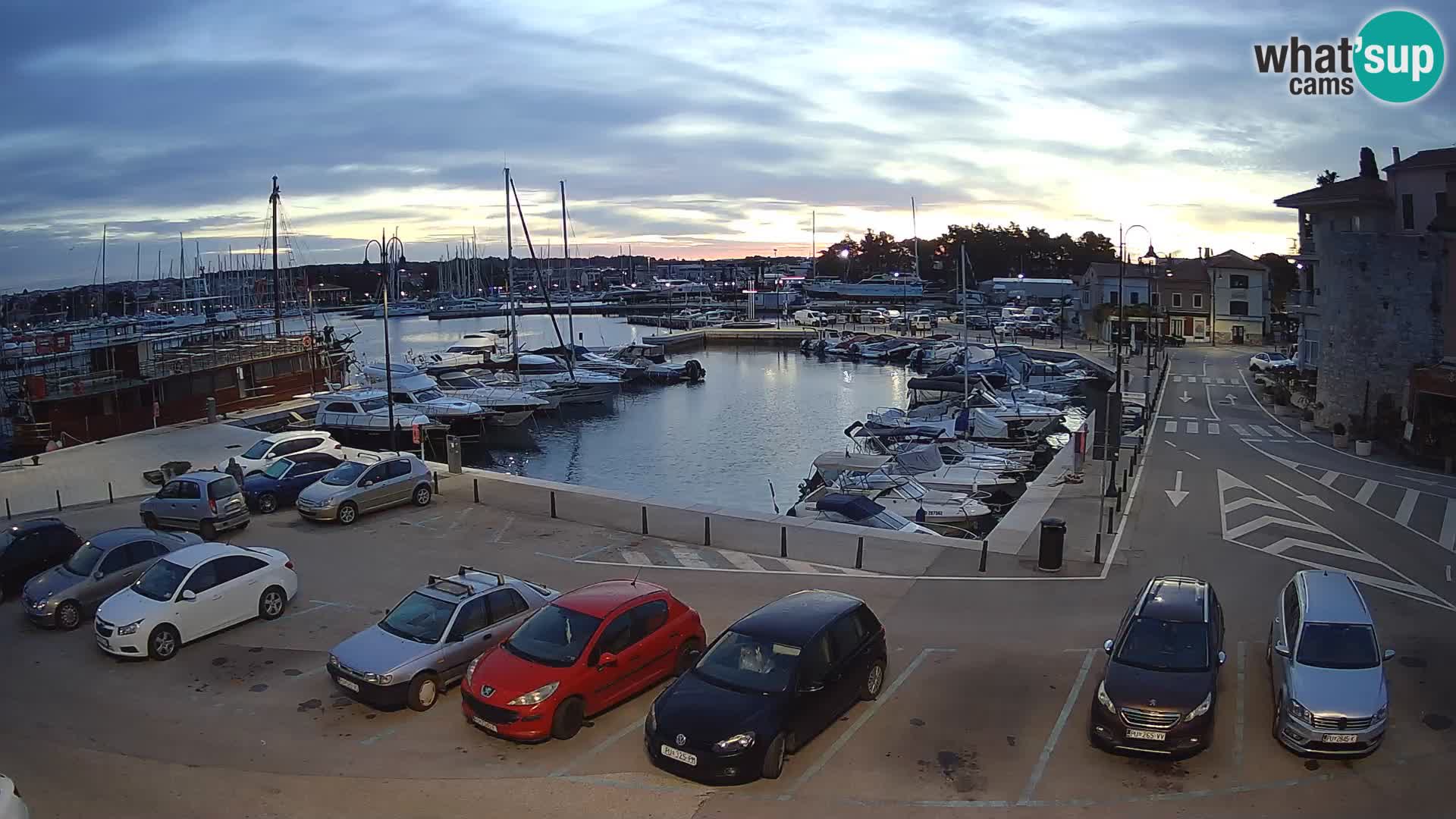 Novigrad | Porporela marina