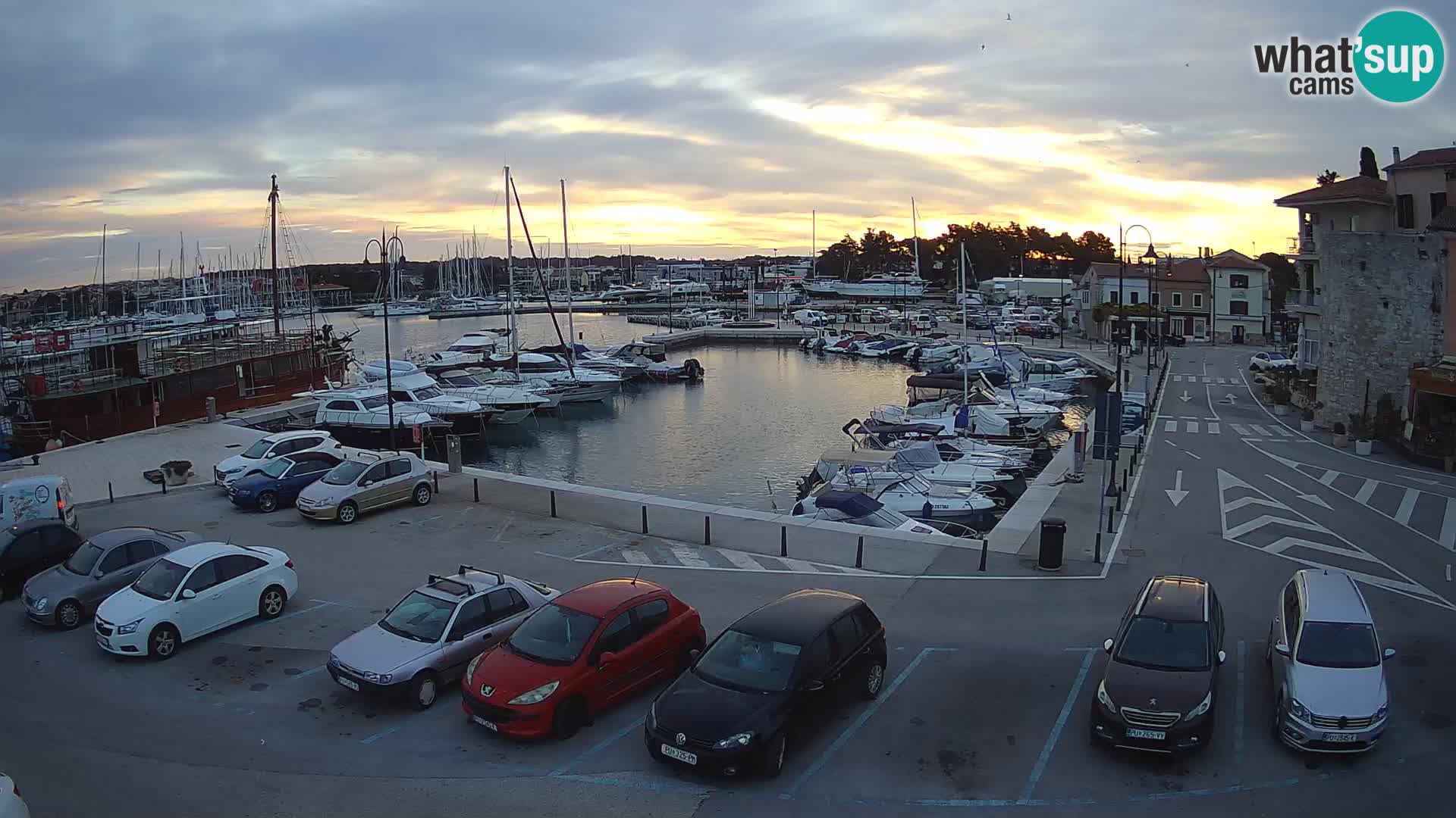 Novigrad | Porporela marina