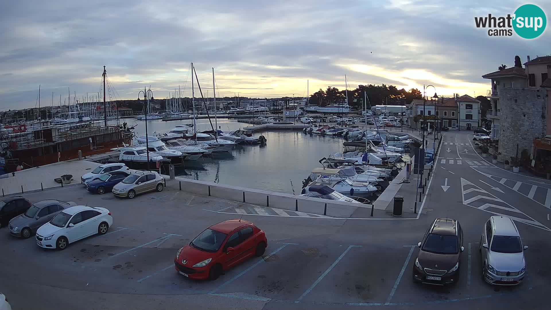 Novigrad | Porporela marina