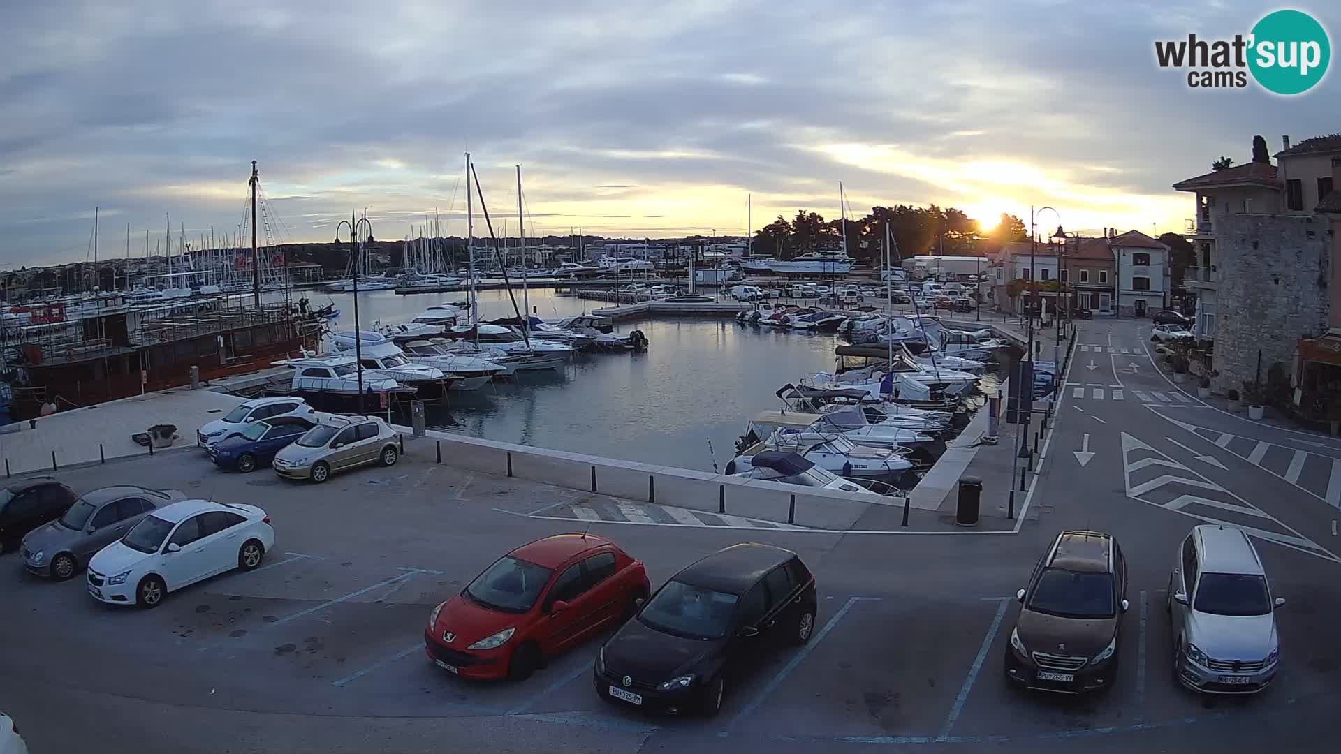 Novigrad | Porporela marina