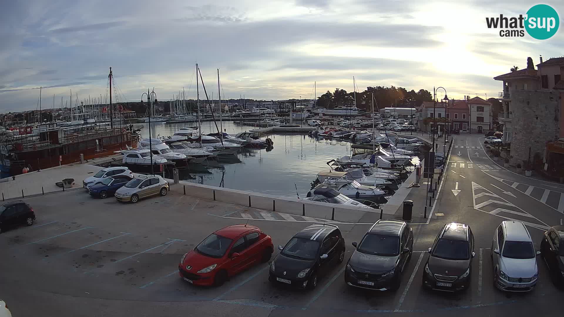 Novigrad | Porporela marina