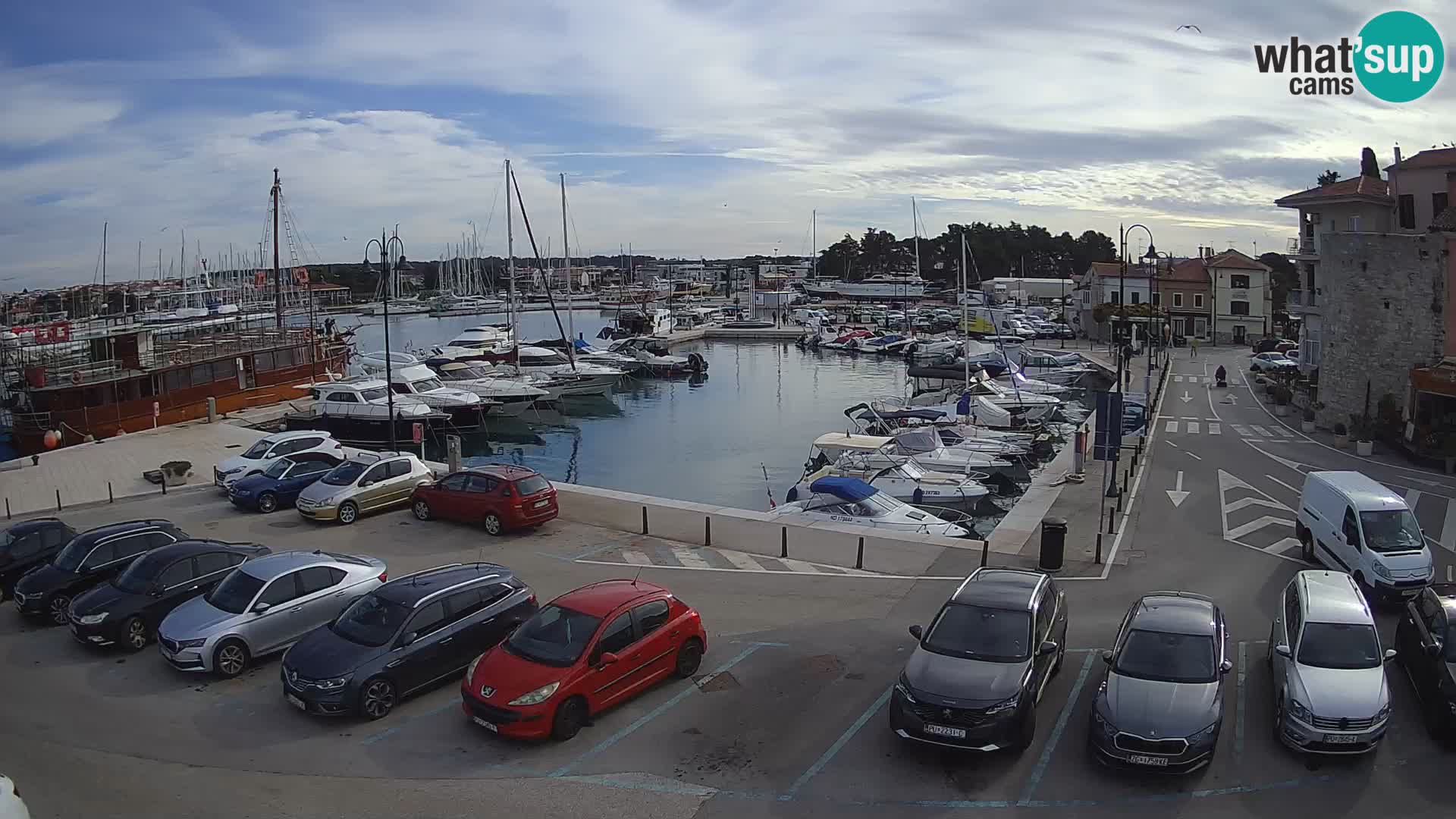 Novigrad | Porporela marina
