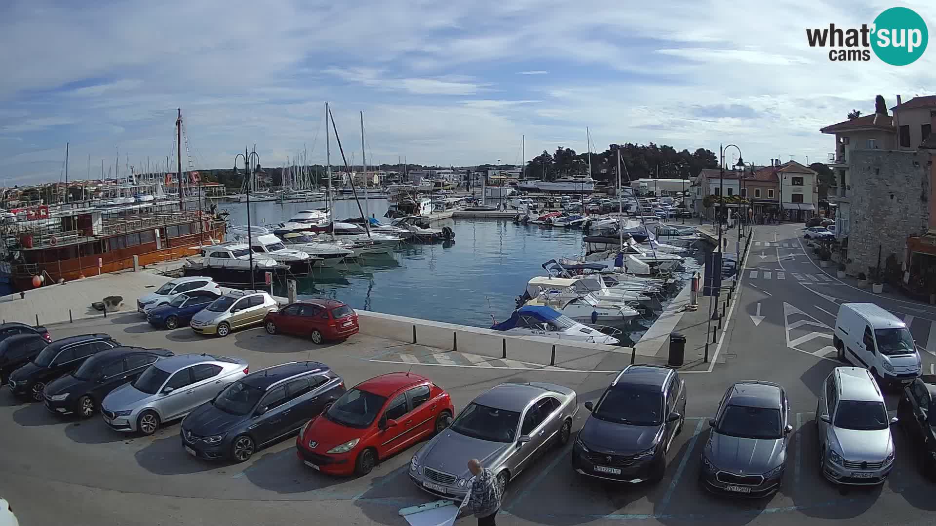 Novigrad | Porporela marina
