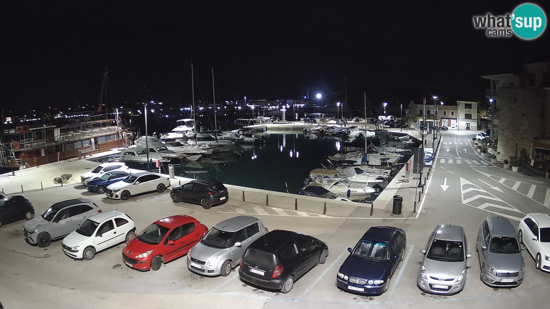Novigrad | Porporela marina