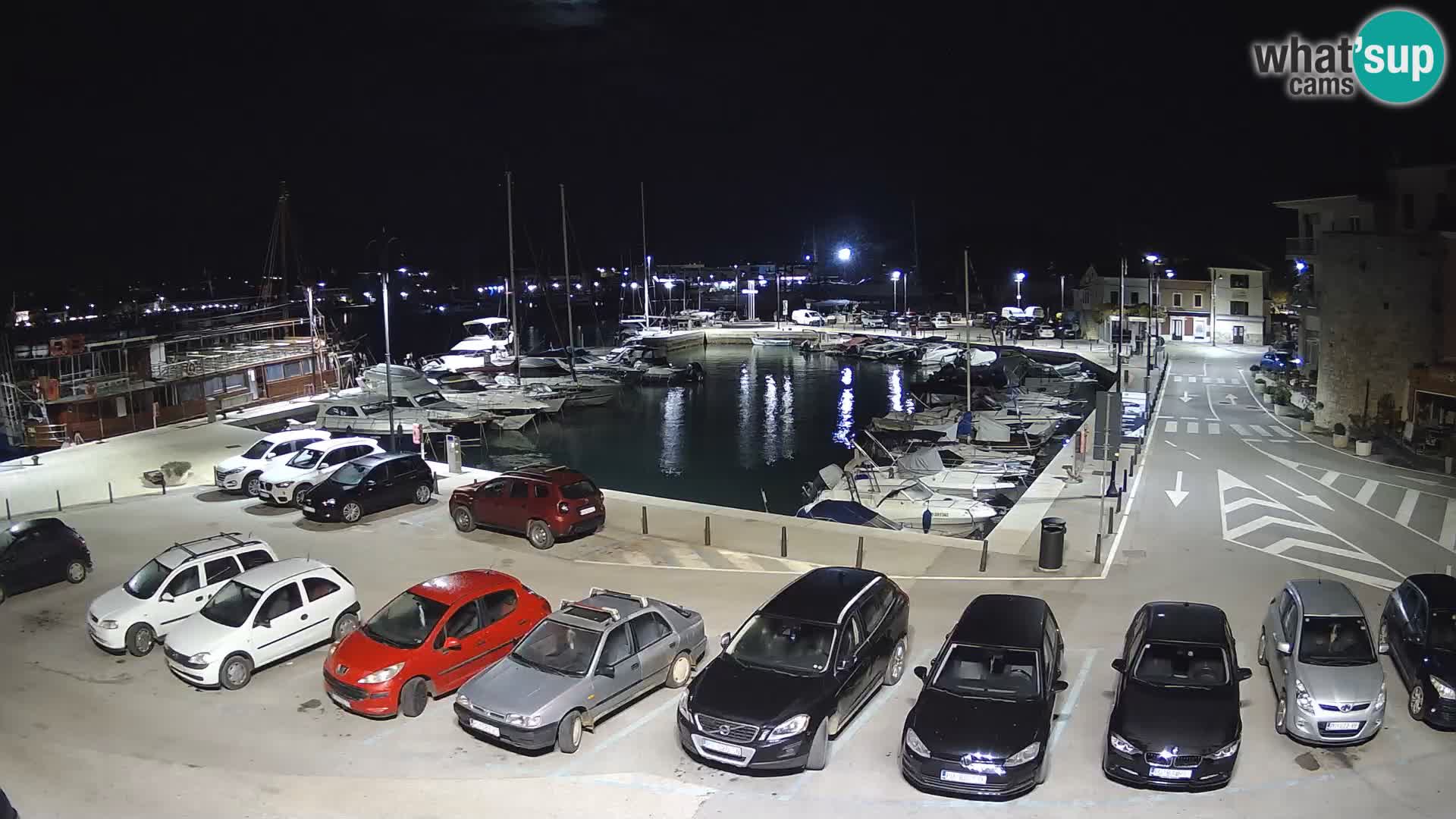 Novigrad | Porporela marina