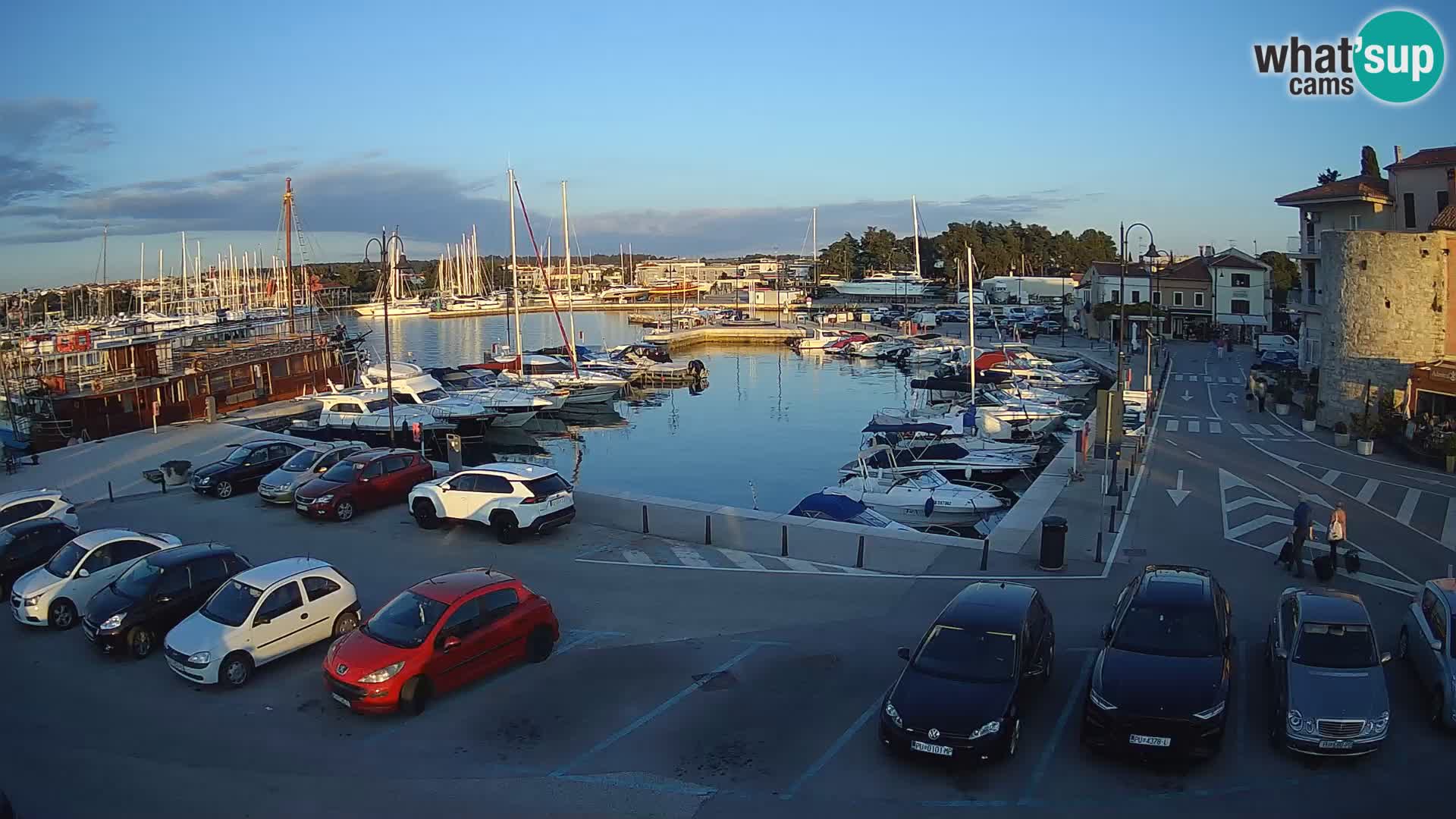 Novigrad | Porporela marina