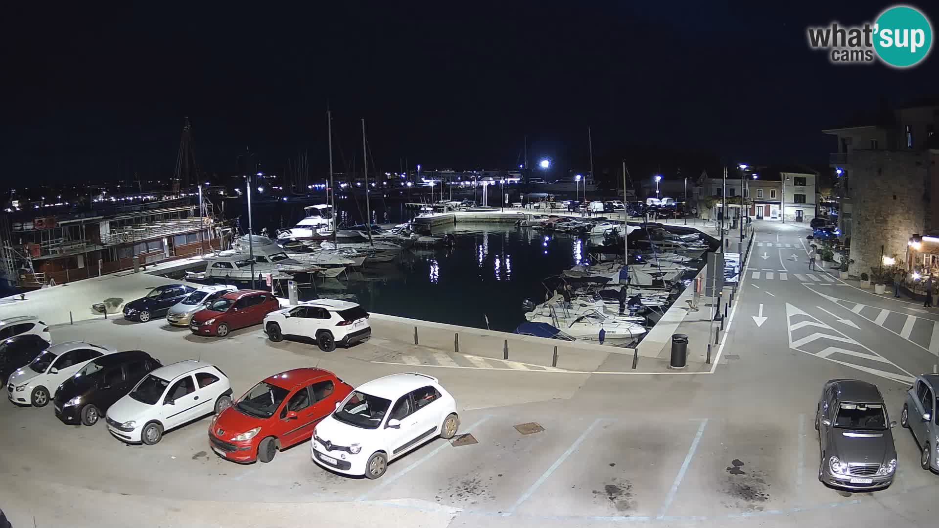 Novigrad | Porporela marina