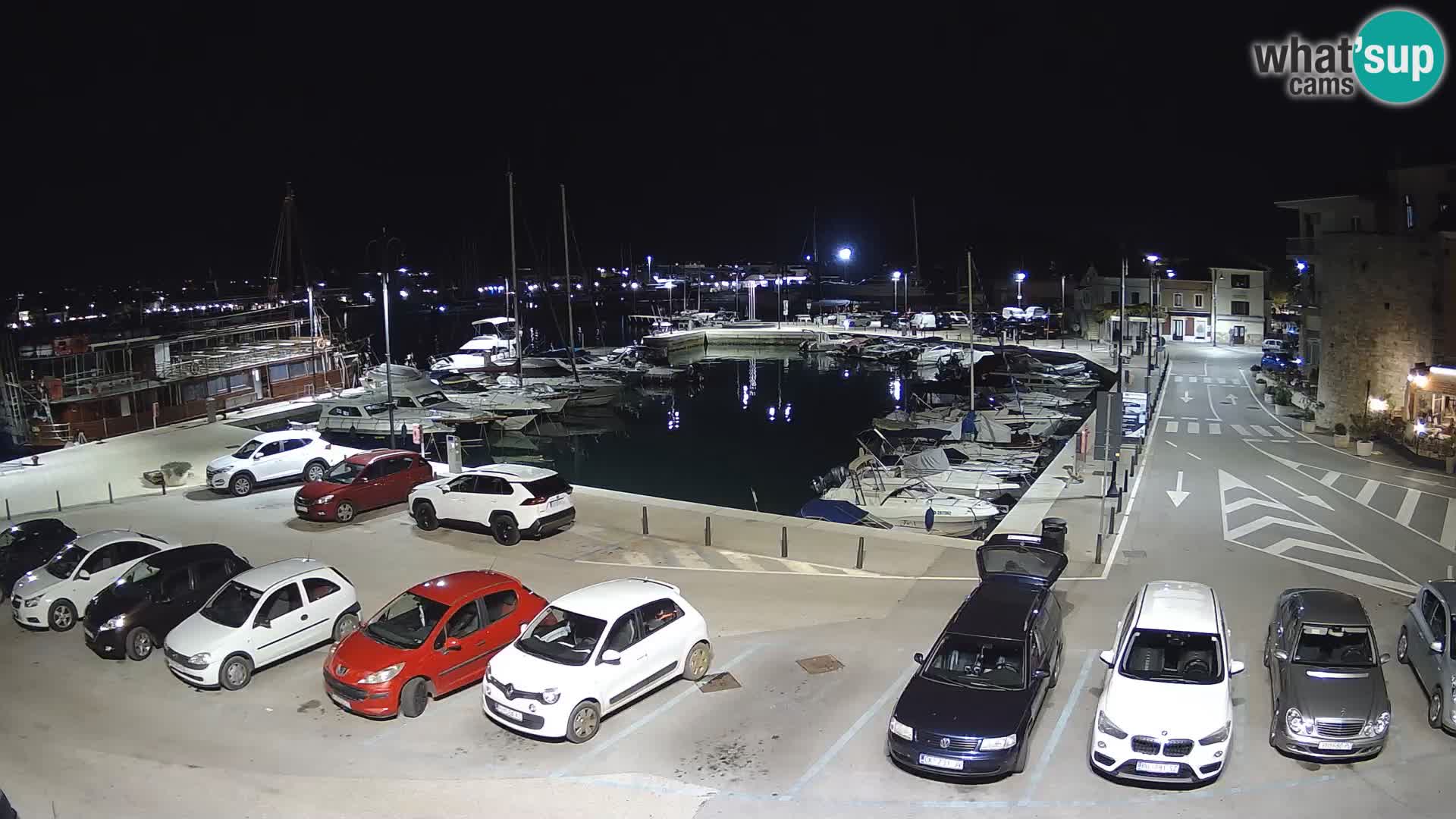 Novigrad | Porporela marina