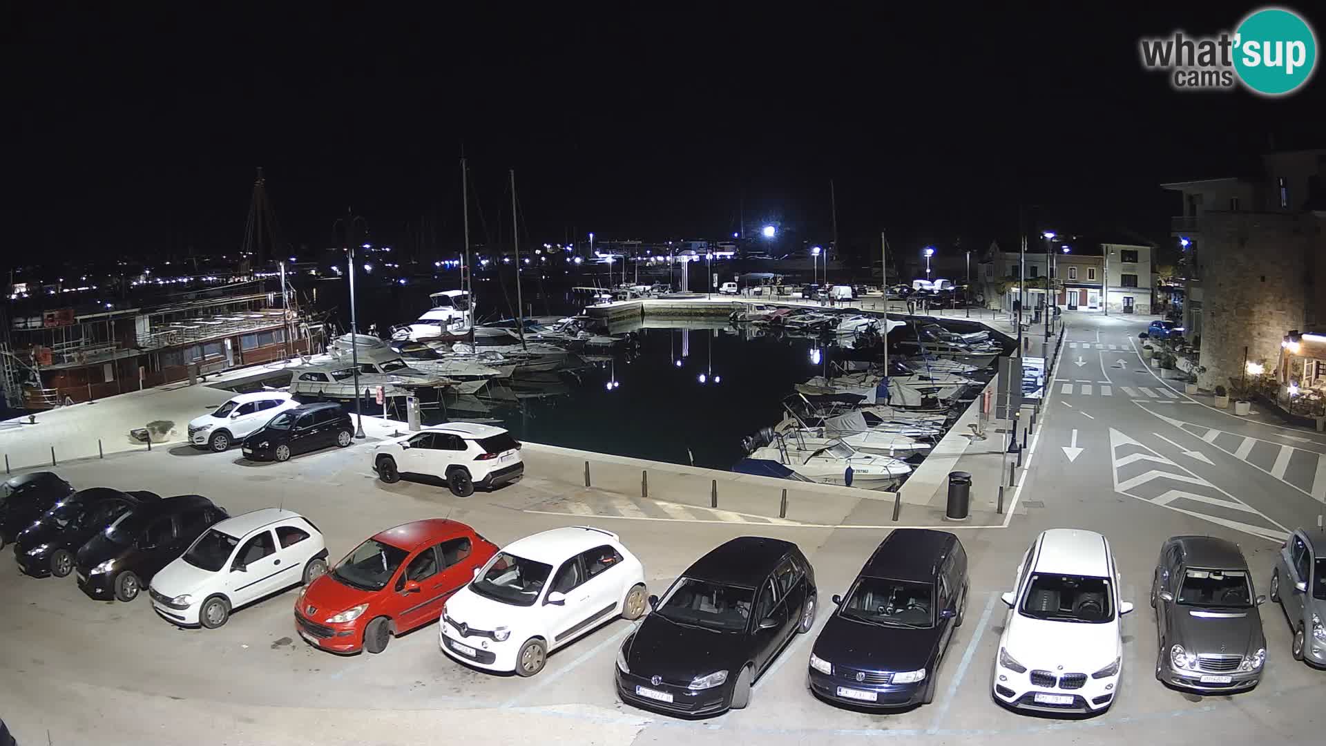 Novigrad | Porporela marina