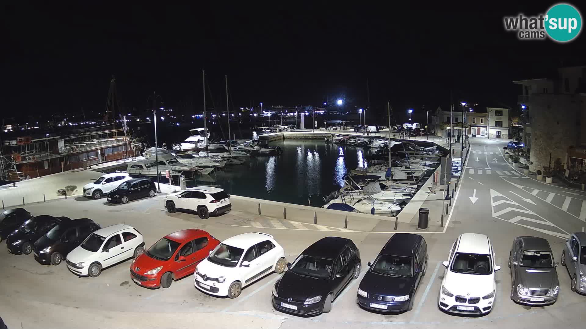 Novigrad | Porporela marina