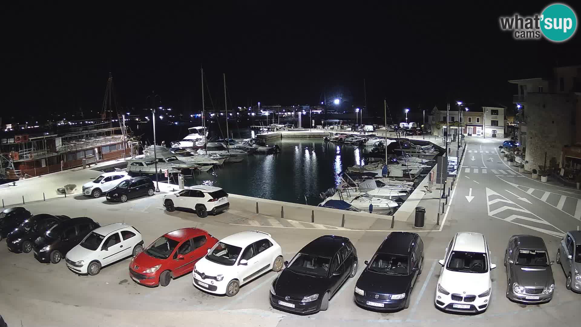 Novigrad | Porporela marina