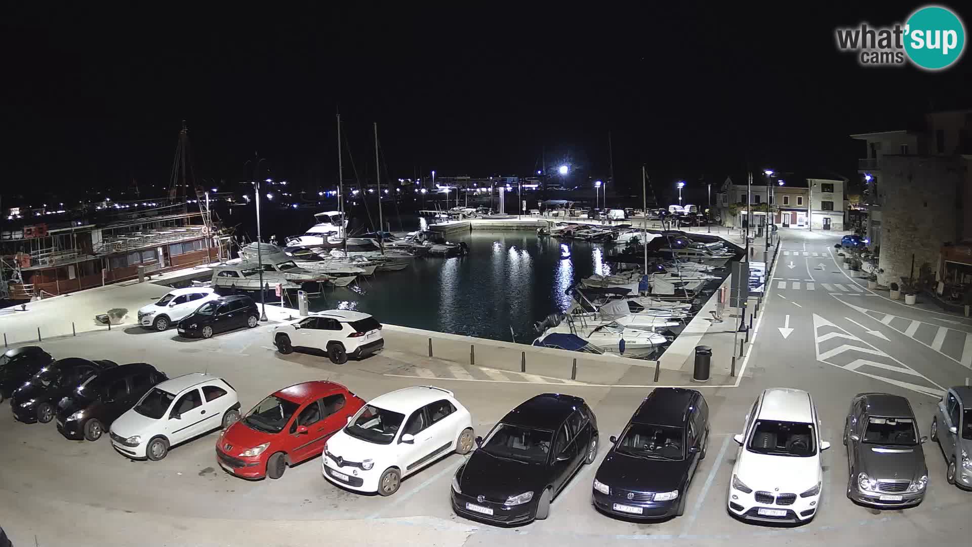 Novigrad | Porporela marina