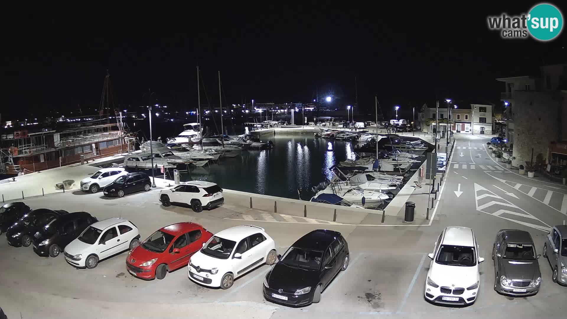 Novigrad | Porporela marina