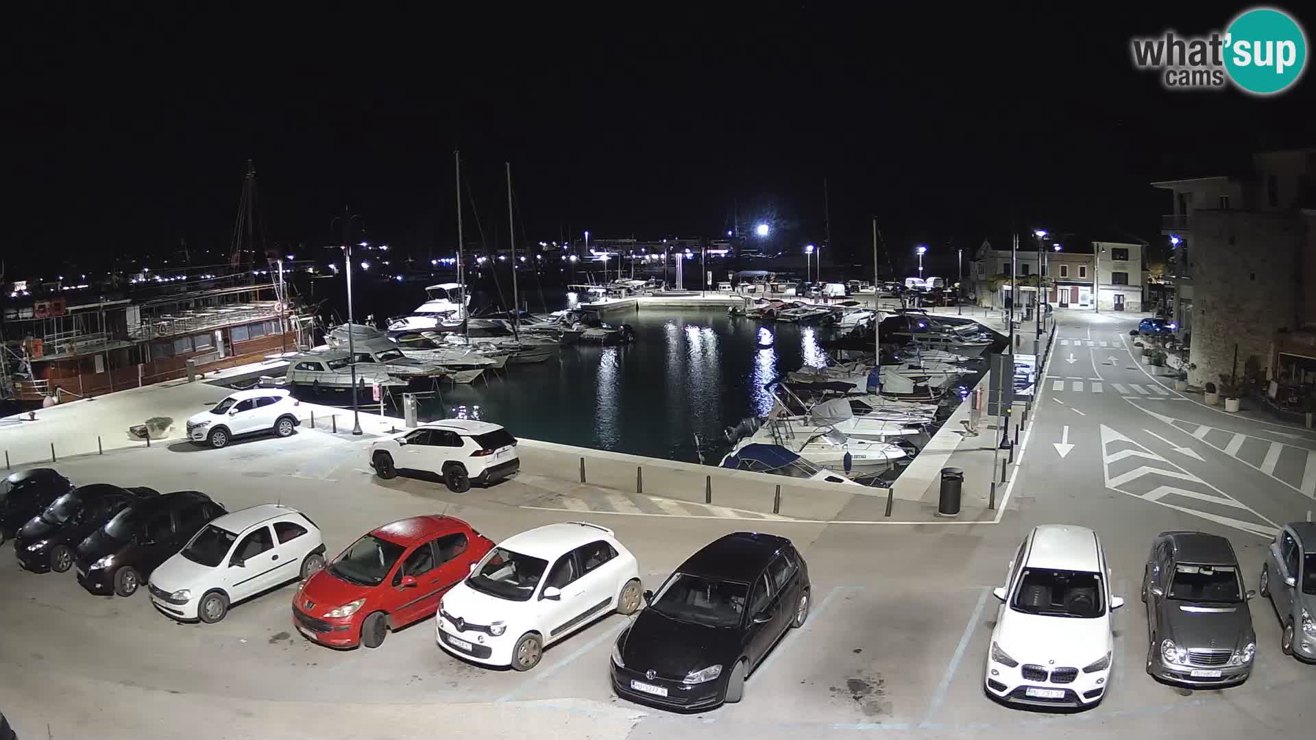 Novigrad | Porporela marina