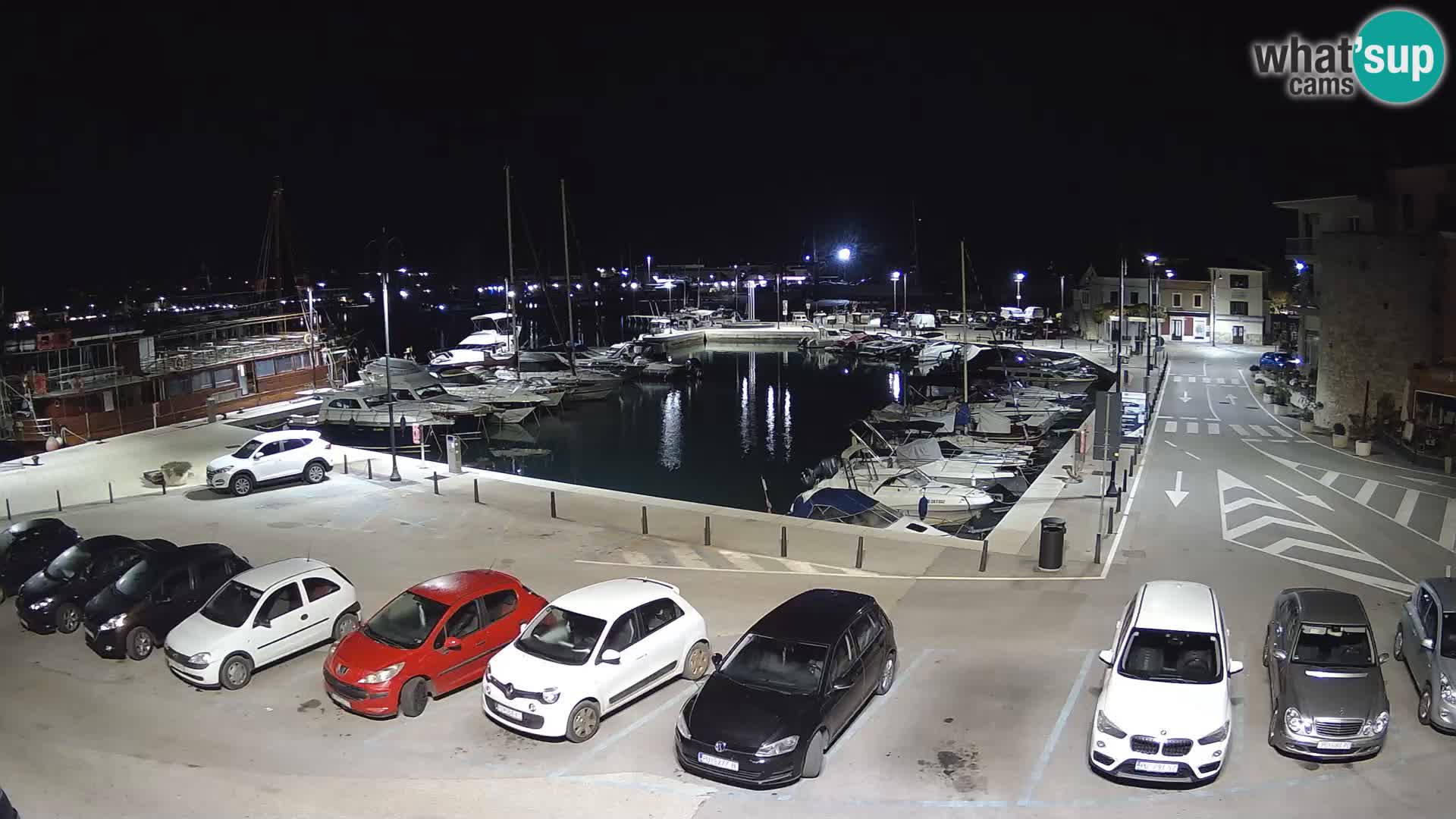 Novigrad | Porporela marina