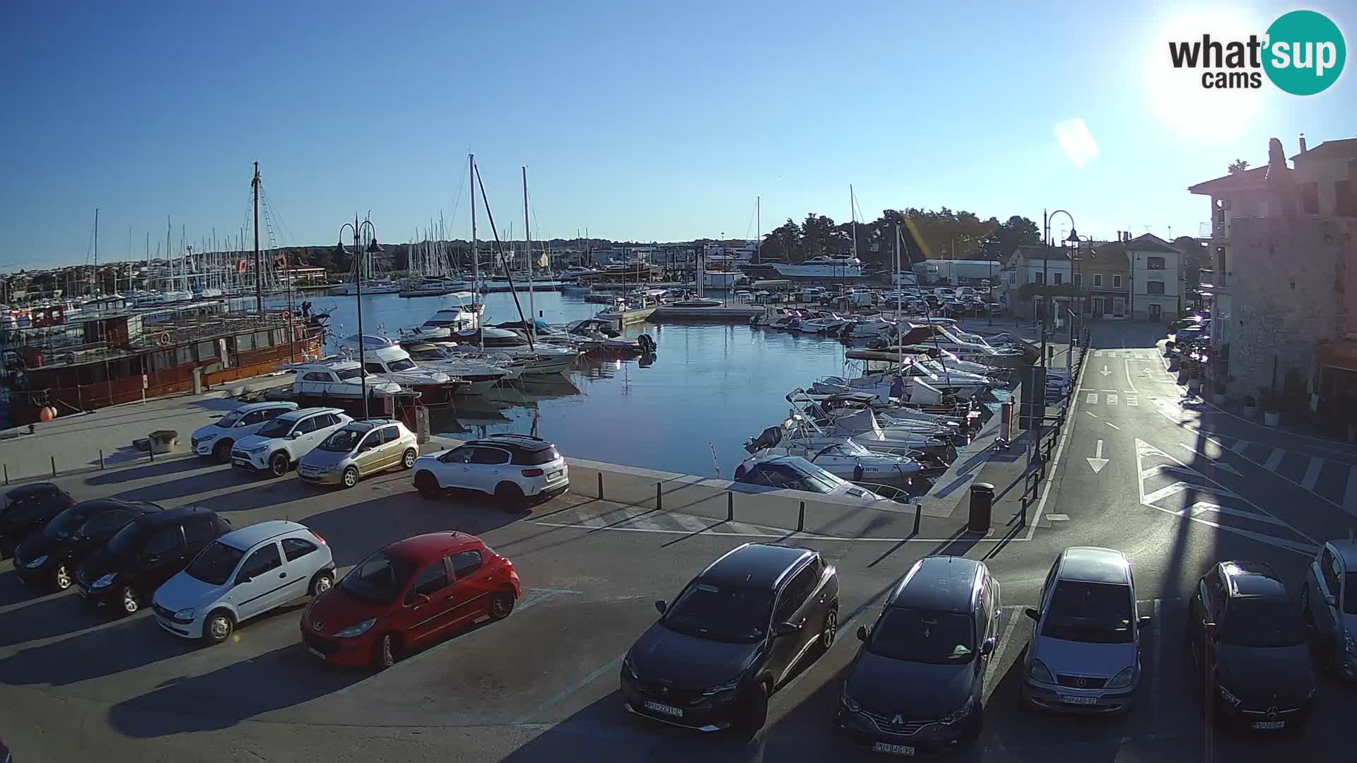 Novigrad | Porporela marina