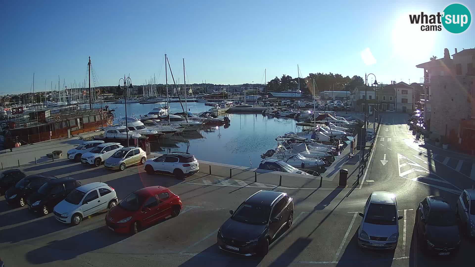Novigrad | Porporela marina
