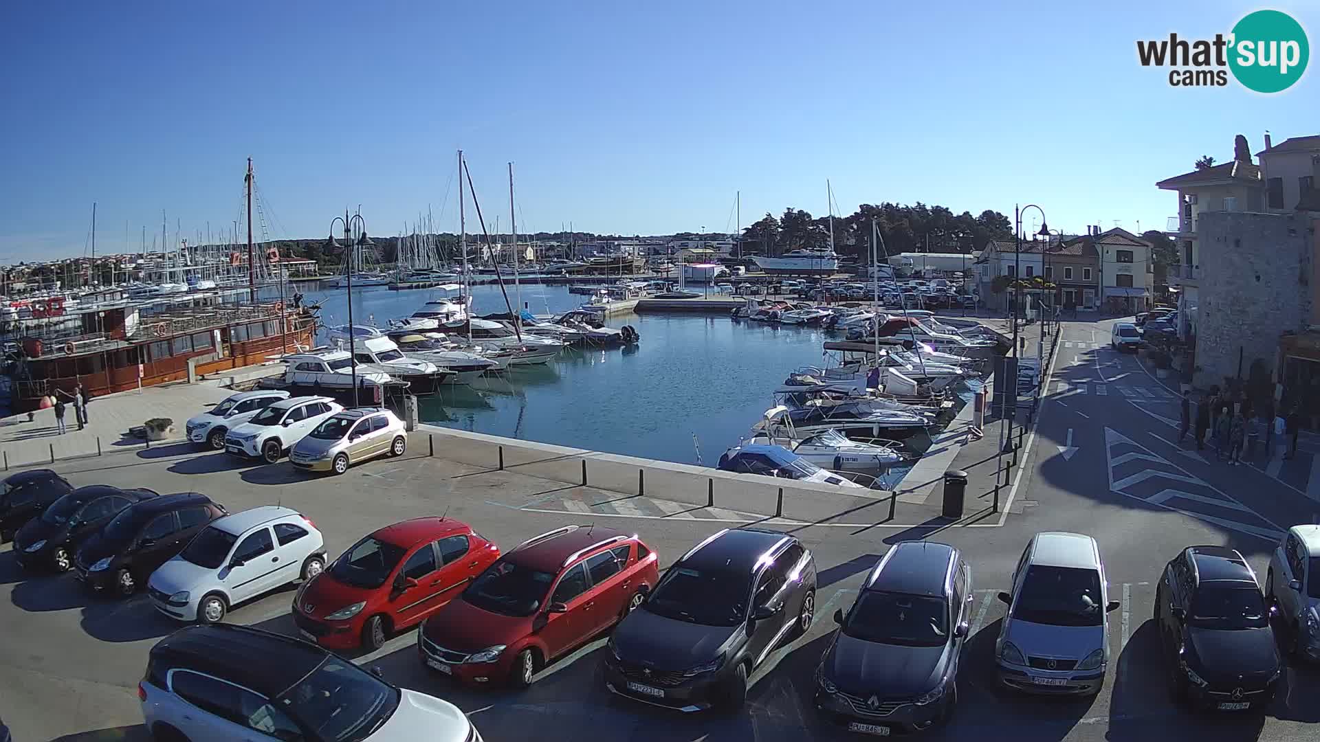 Novigrad | Porporela marina