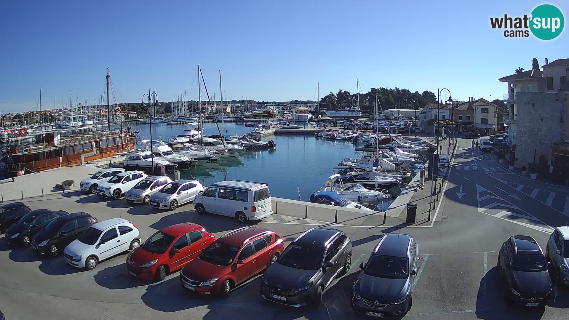 Novigrad | Porporela marina