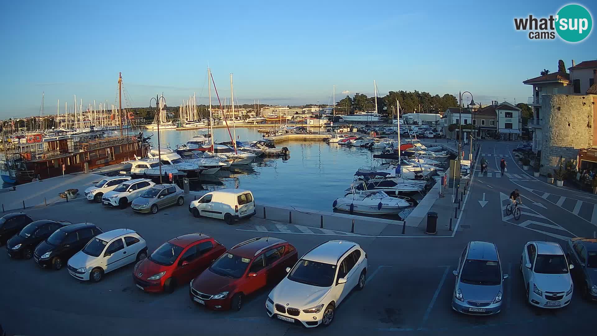Novigrad | Porporela marina