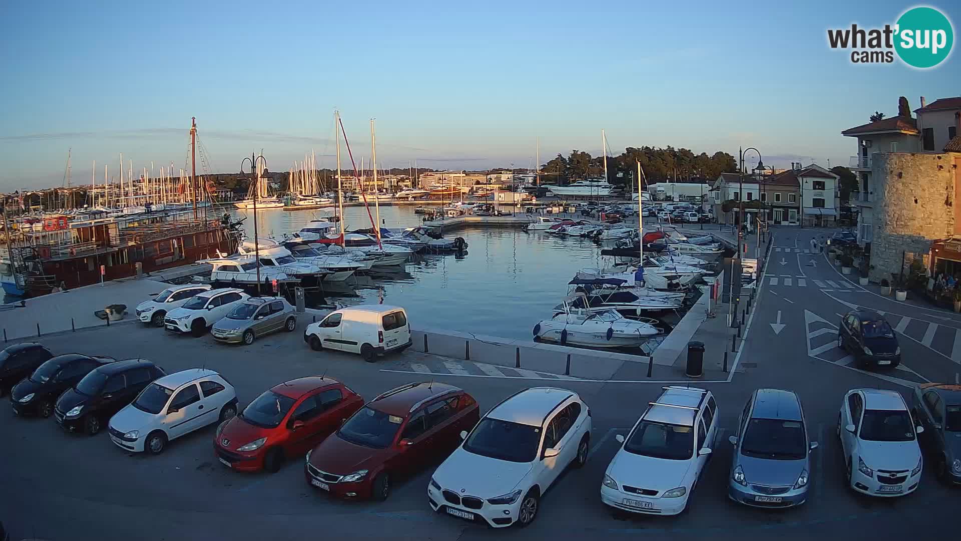 Novigrad | Porporela marina