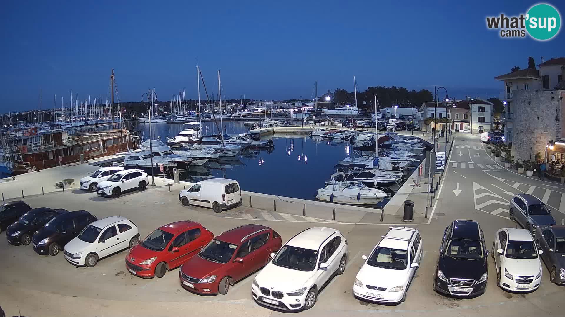 Novigrad | Porporela marina