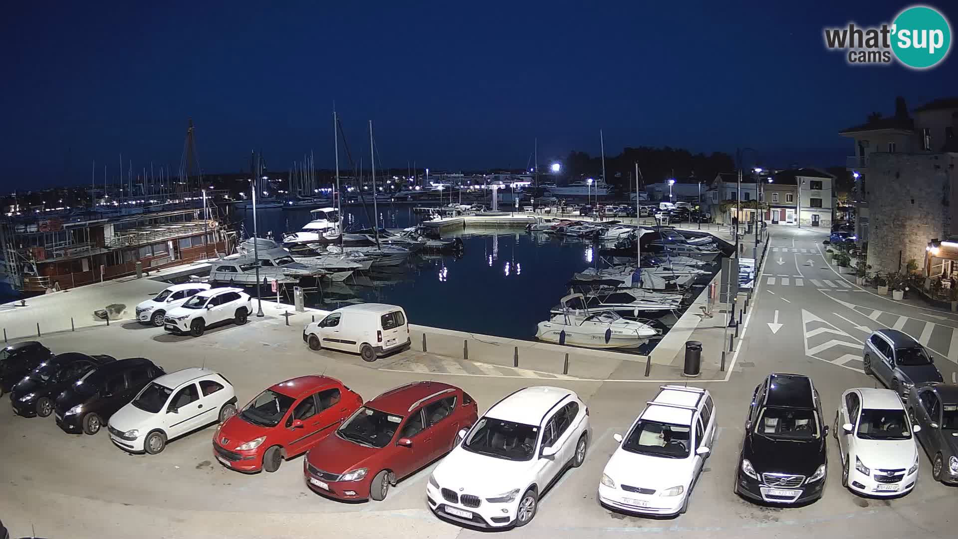 Novigrad | Porporela marina