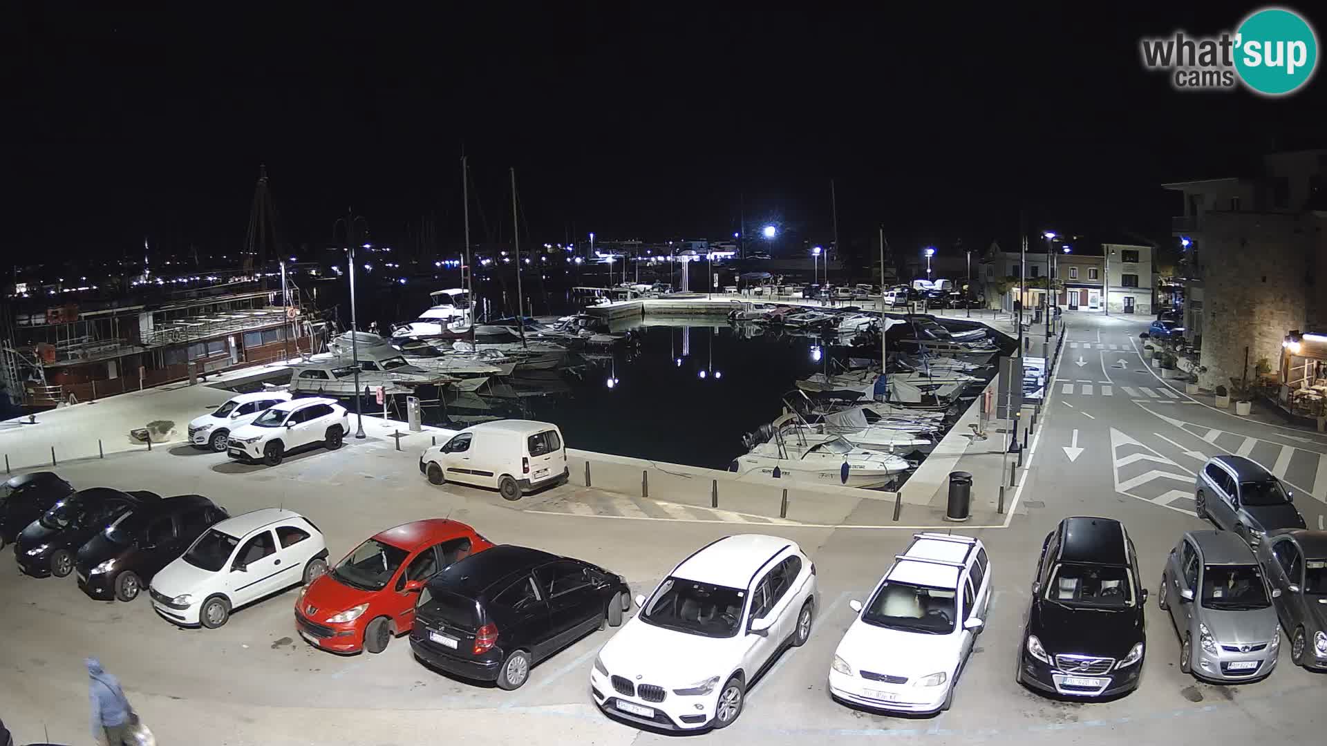 Novigrad | Porporela marina