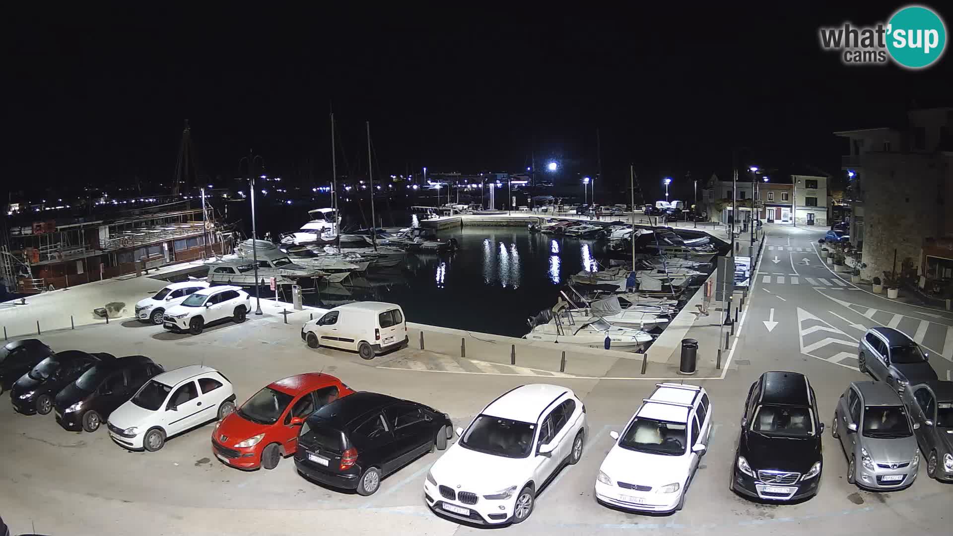 Novigrad | Porporela marina