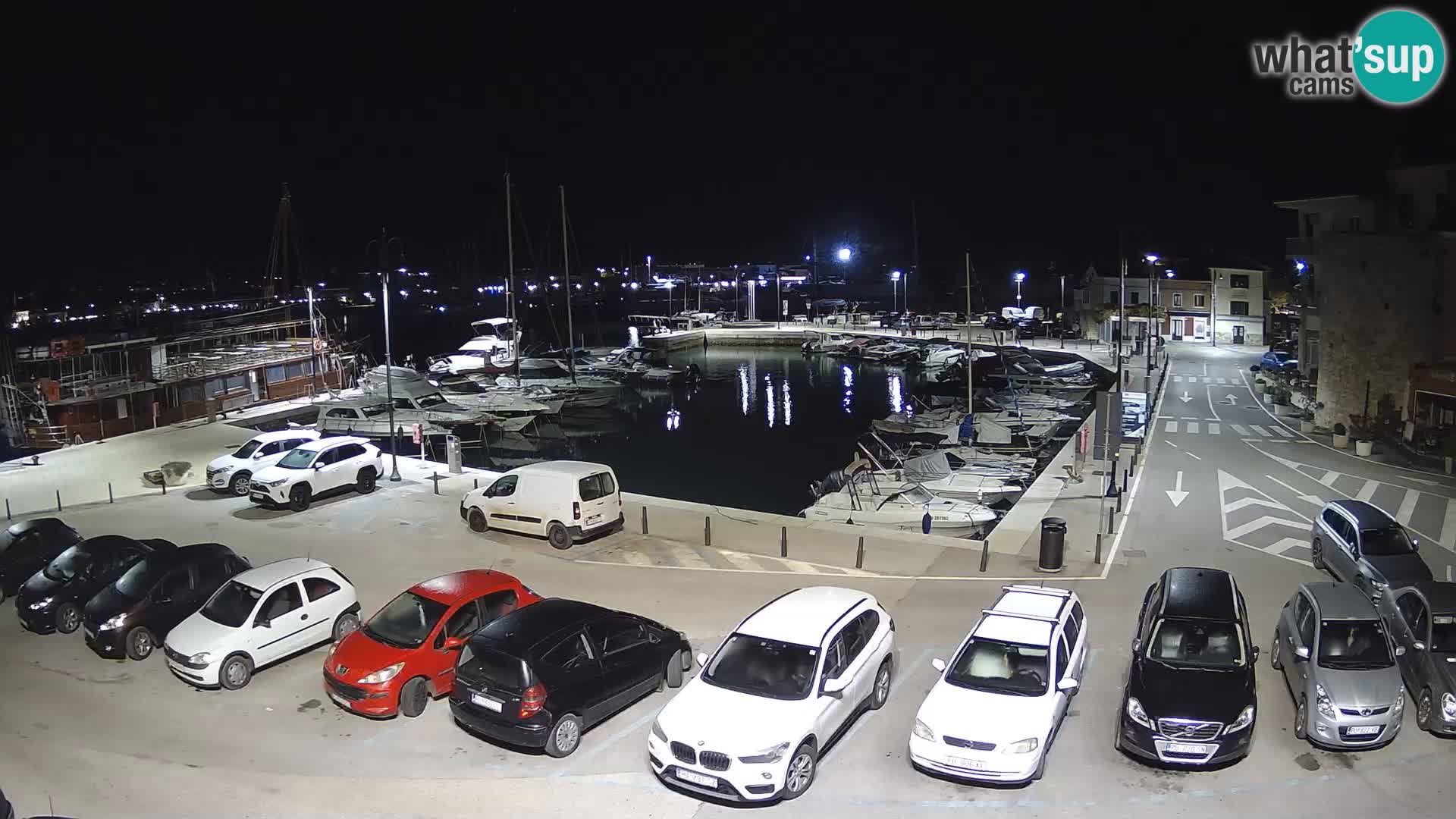 Novigrad | Porporela marina