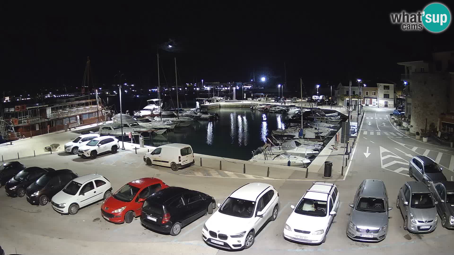 Novigrad | Porporela marina