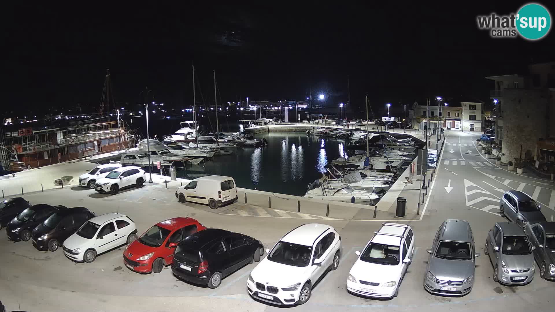 Novigrad | Porporela marina