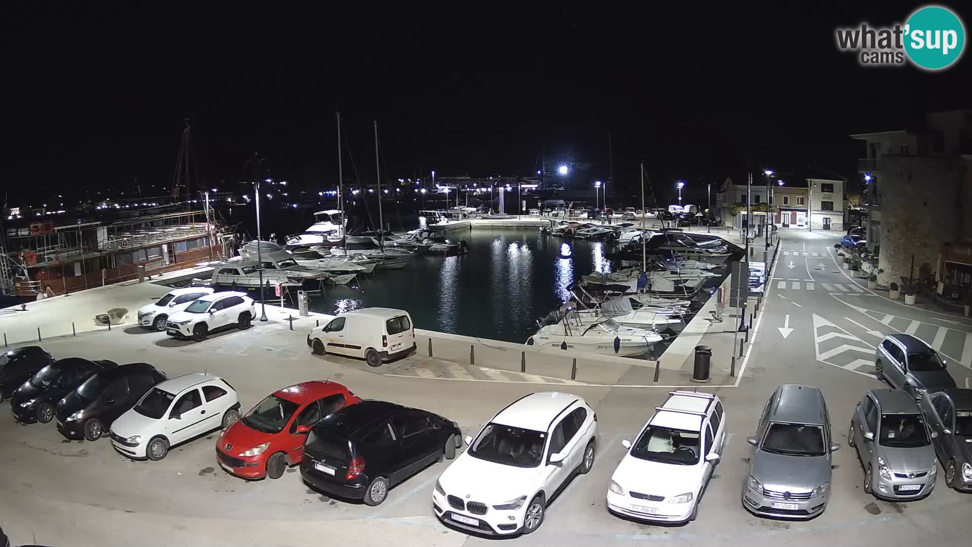 Novigrad | Porporela marina