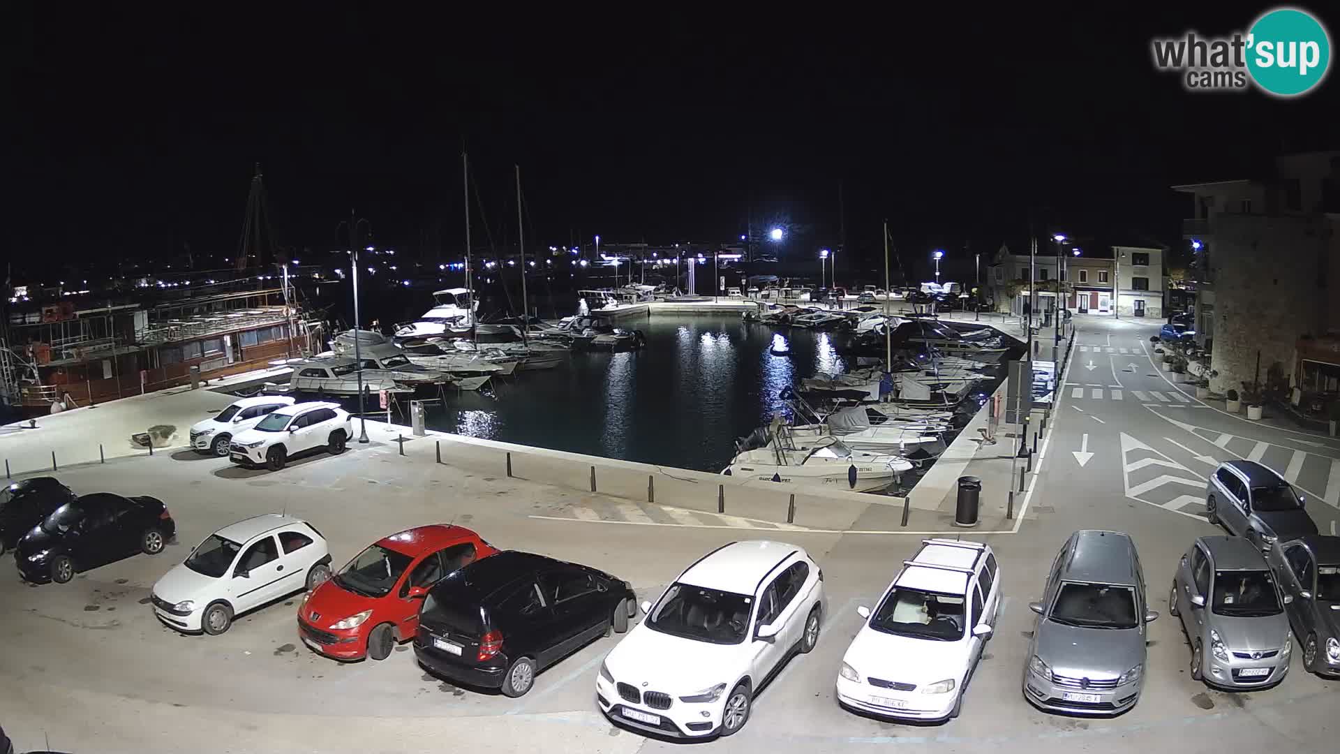 Novigrad | Porporela marina