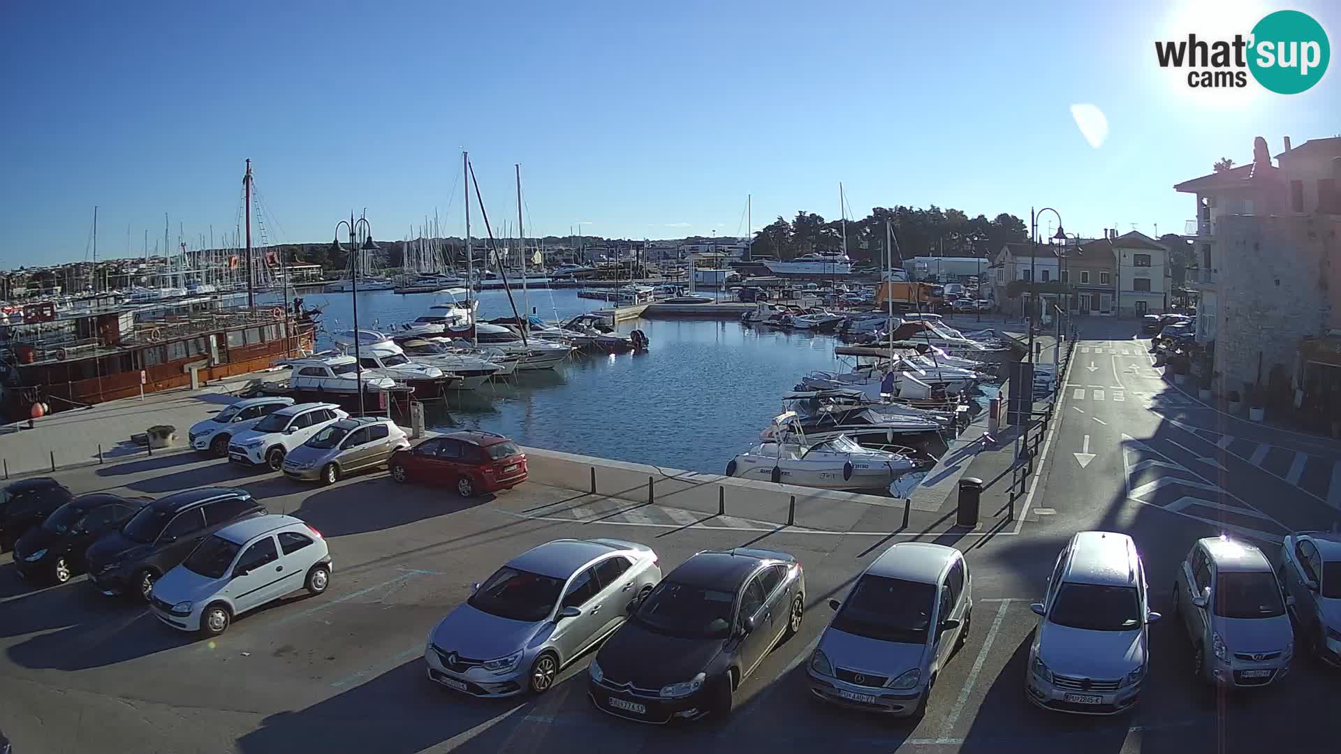 Novigrad | Porporela marina