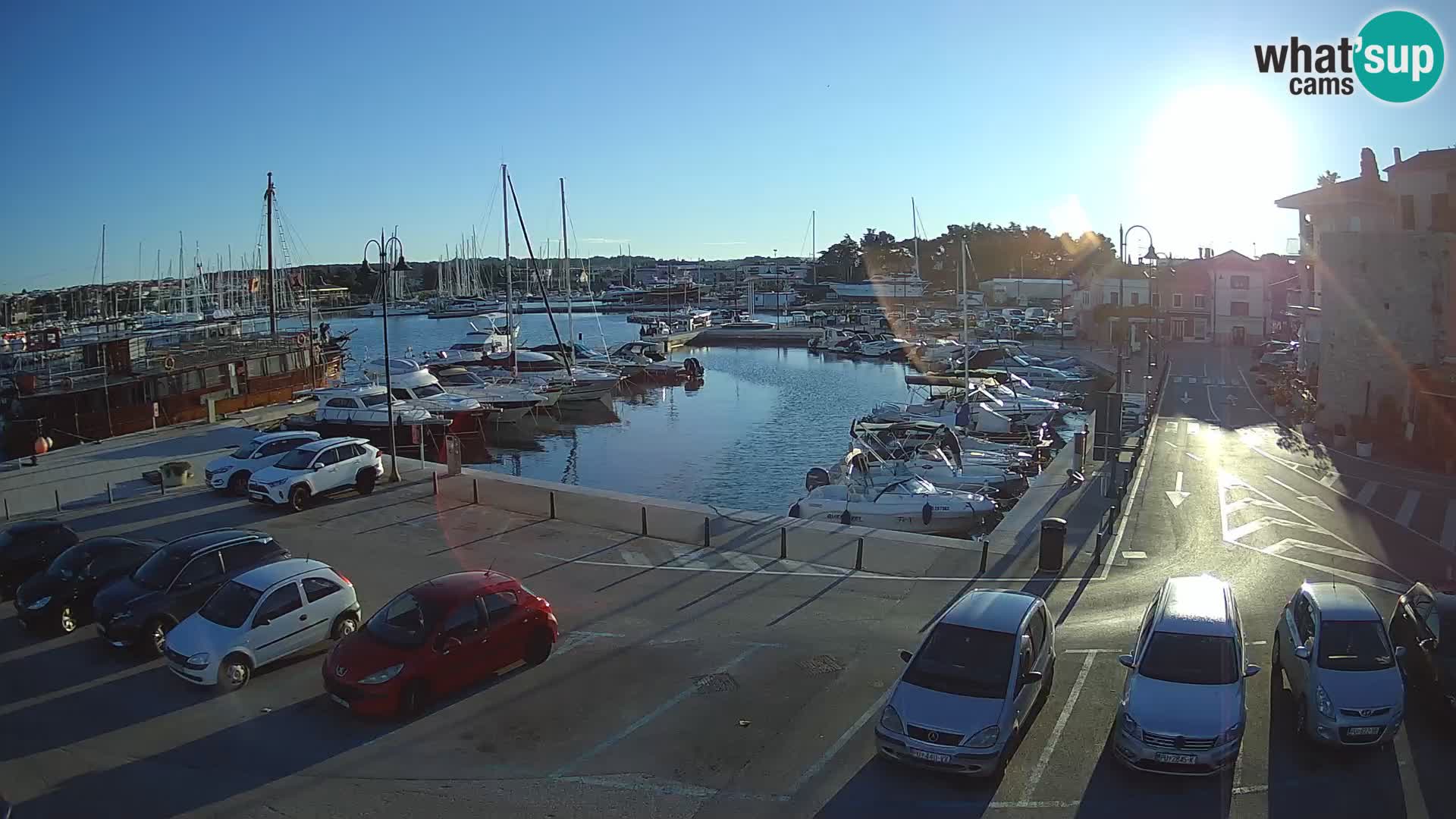 Novigrad | Porporela marina