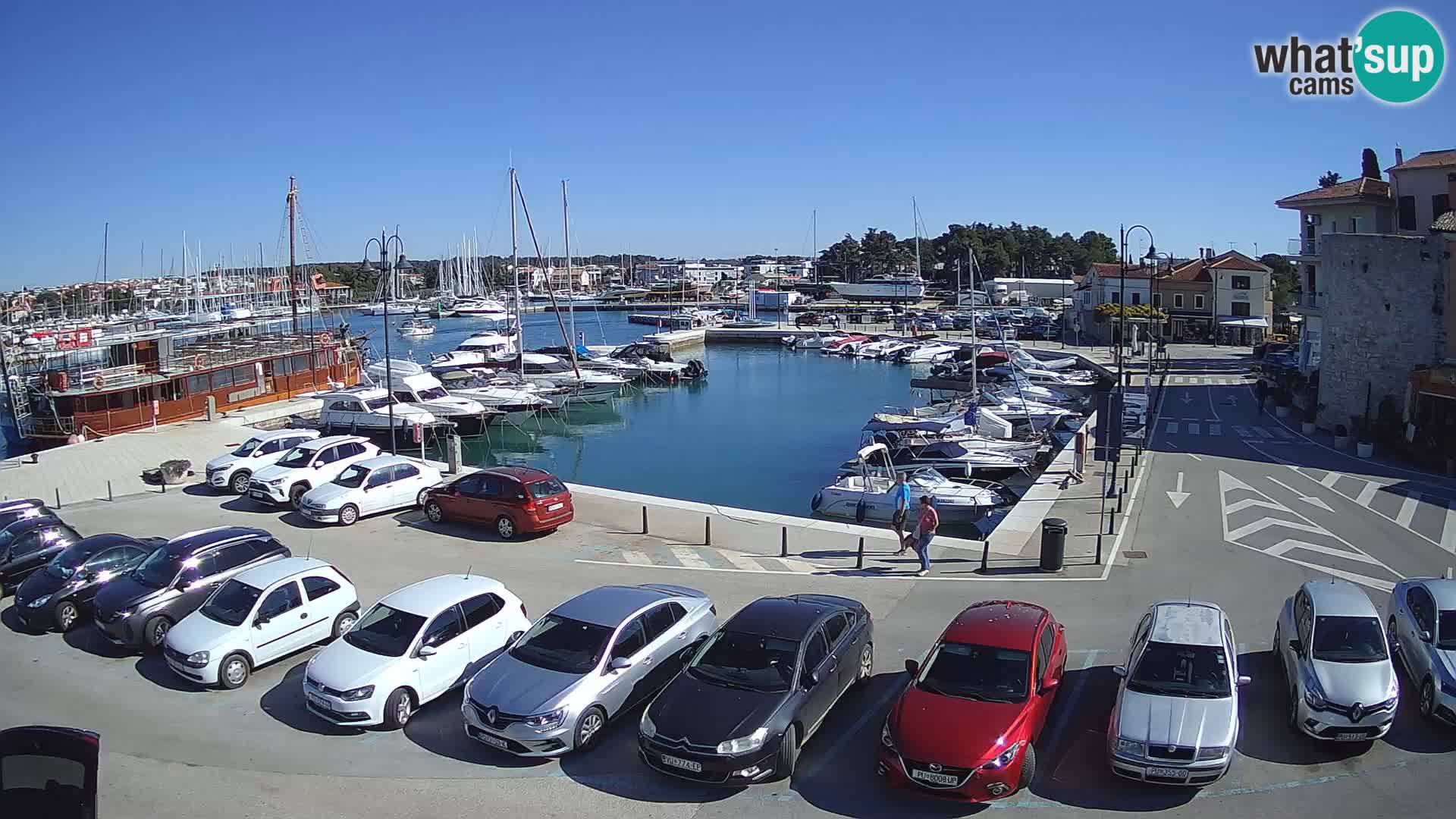 Novigrad | Porporela marina