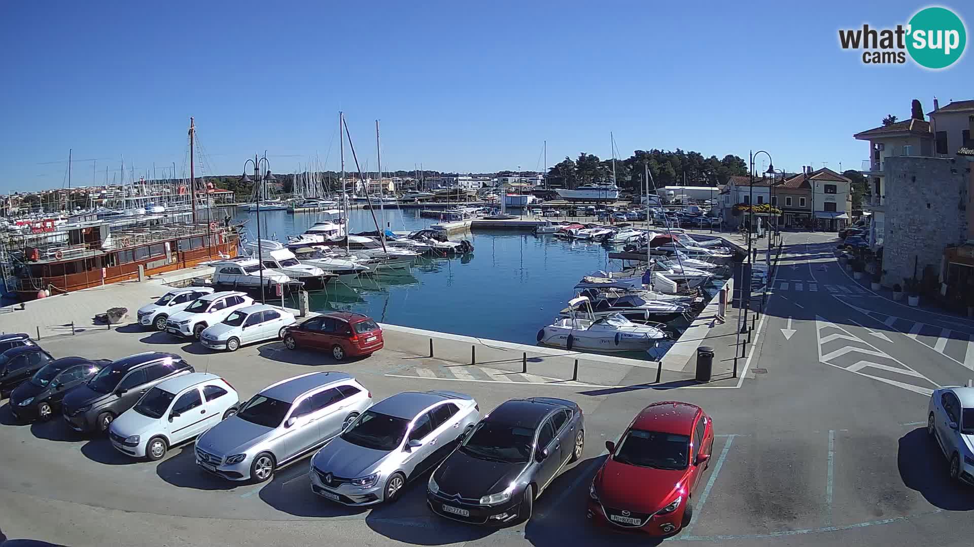 Novigrad | Porporela marina