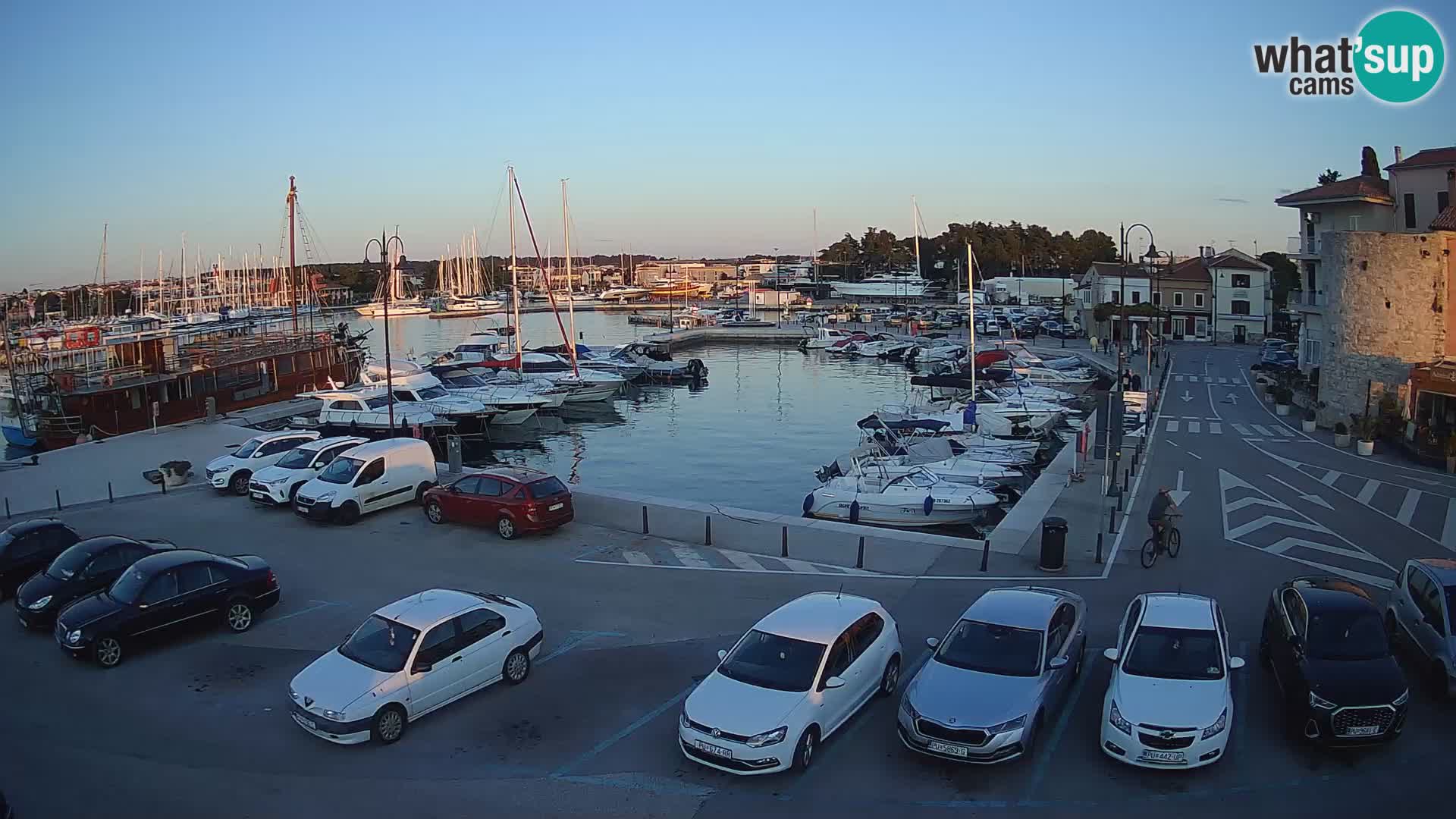 Novigrad | Porporela marina