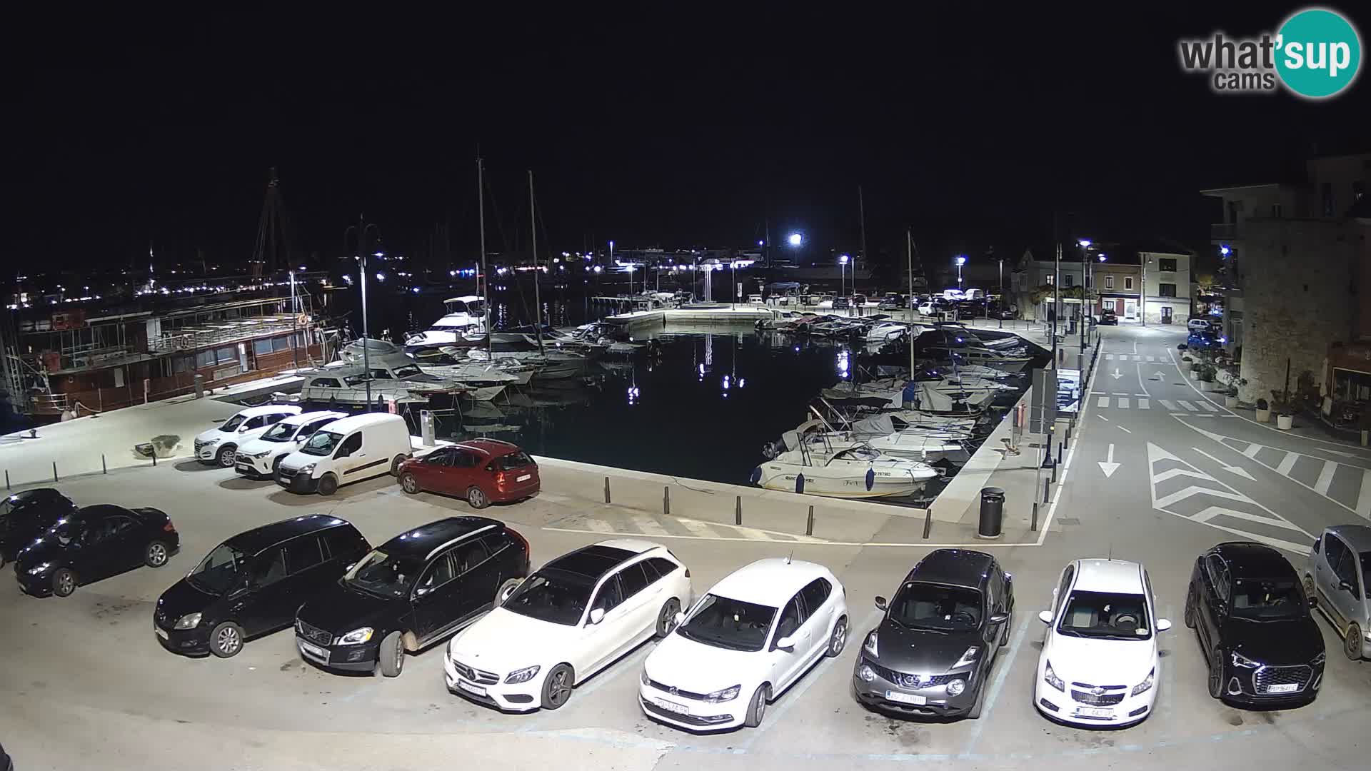 Novigrad | Porporela marina