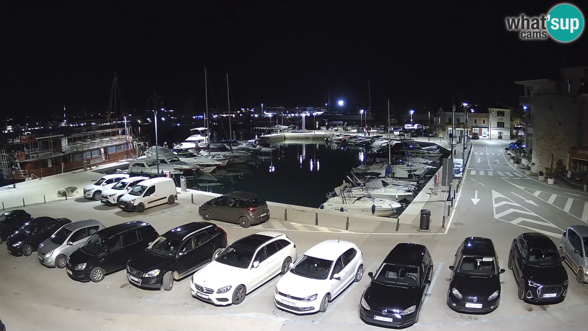 Novigrad | Porporela marina