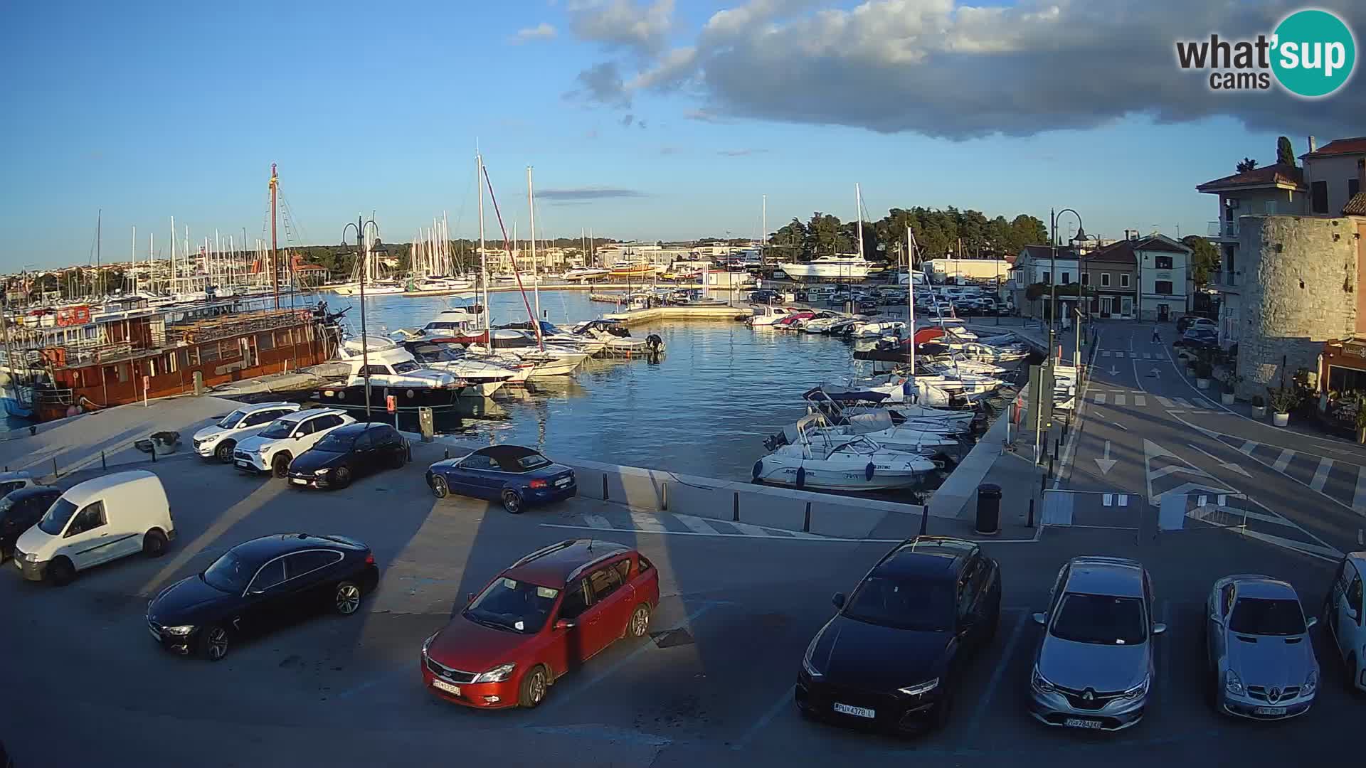 Novigrad | Porporela marina