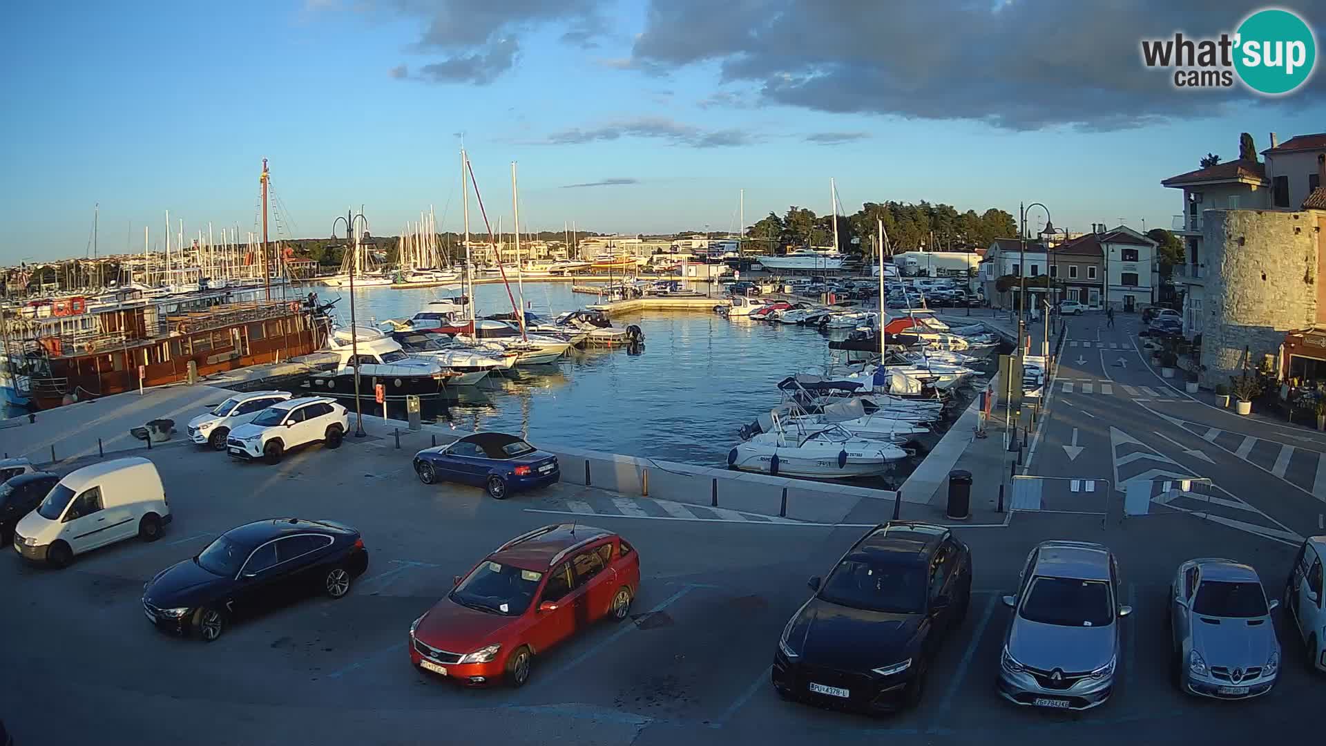 Novigrad | Porporela marina