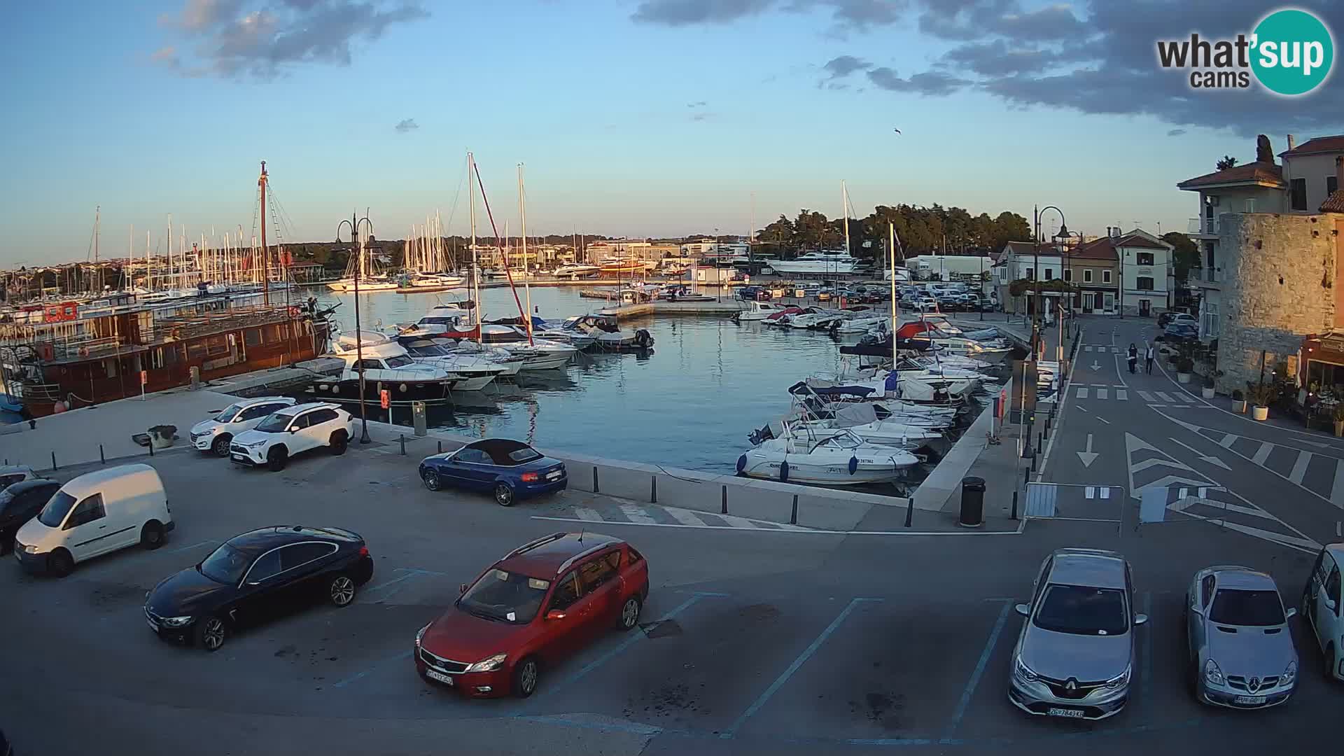 Novigrad | Porporela marina