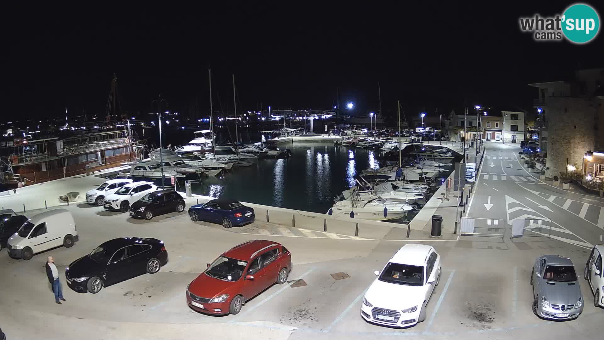 Novigrad | Porporela marina