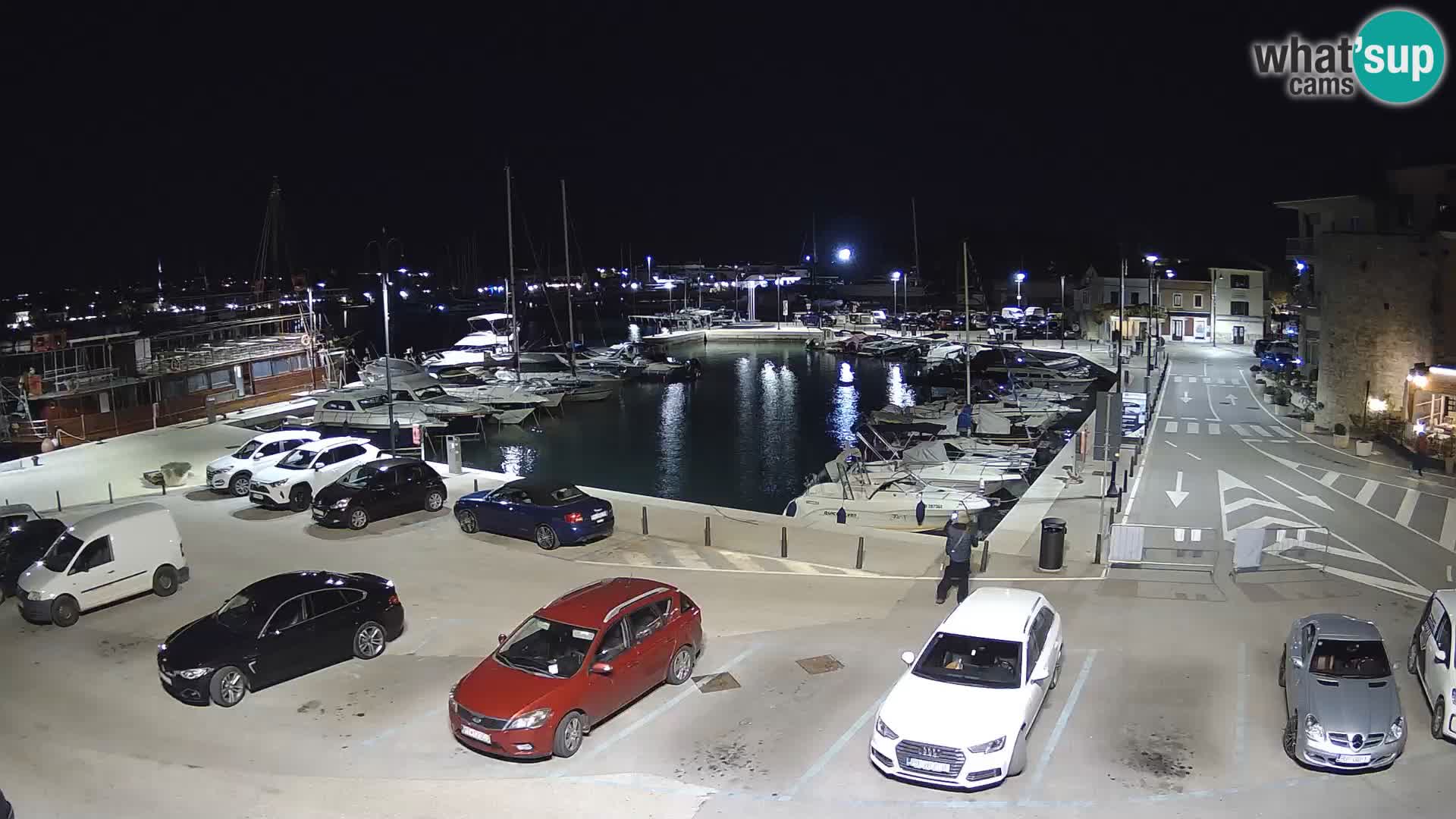 Novigrad | Porporela marina