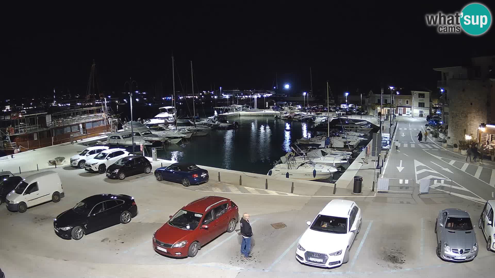 Novigrad | Porporela marina
